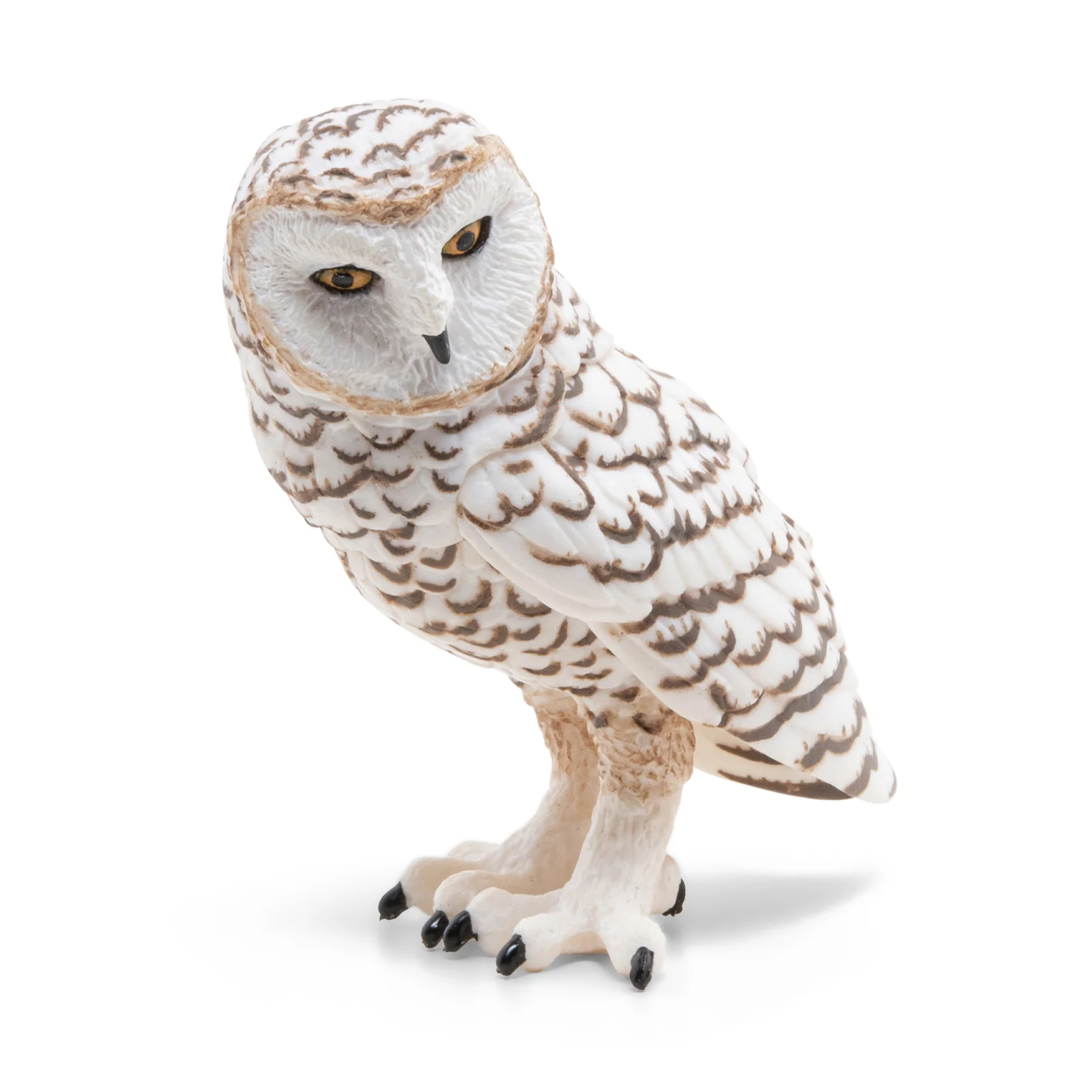 Miniature 6