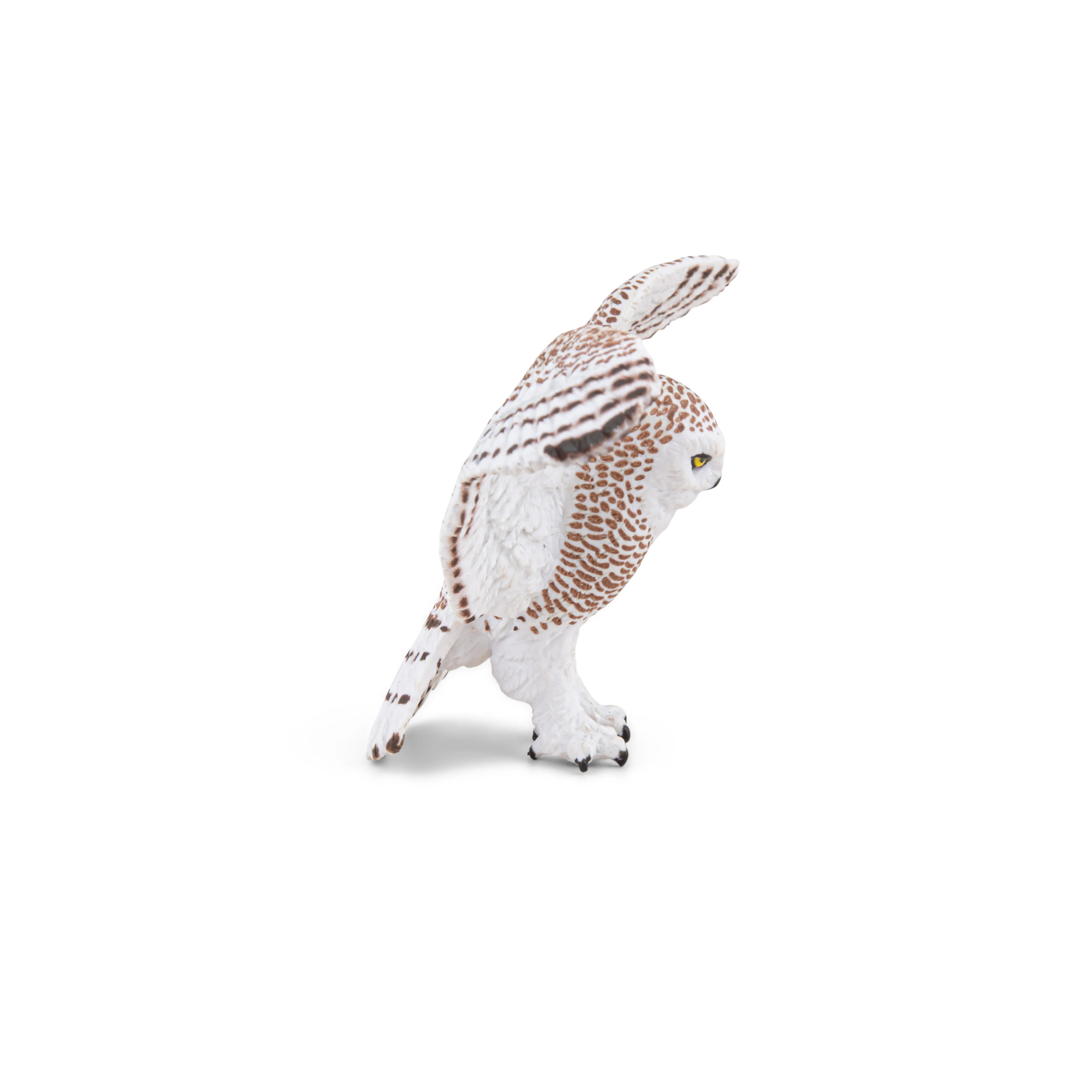 Miniature 3