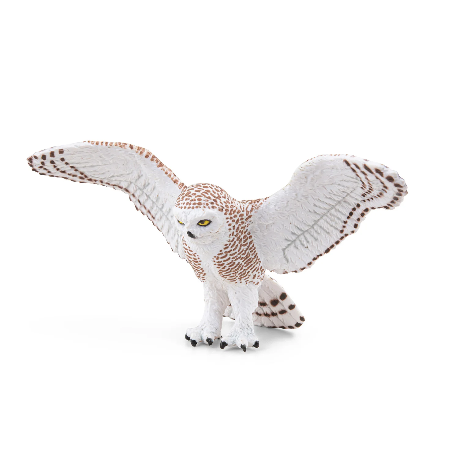 Miniature 5