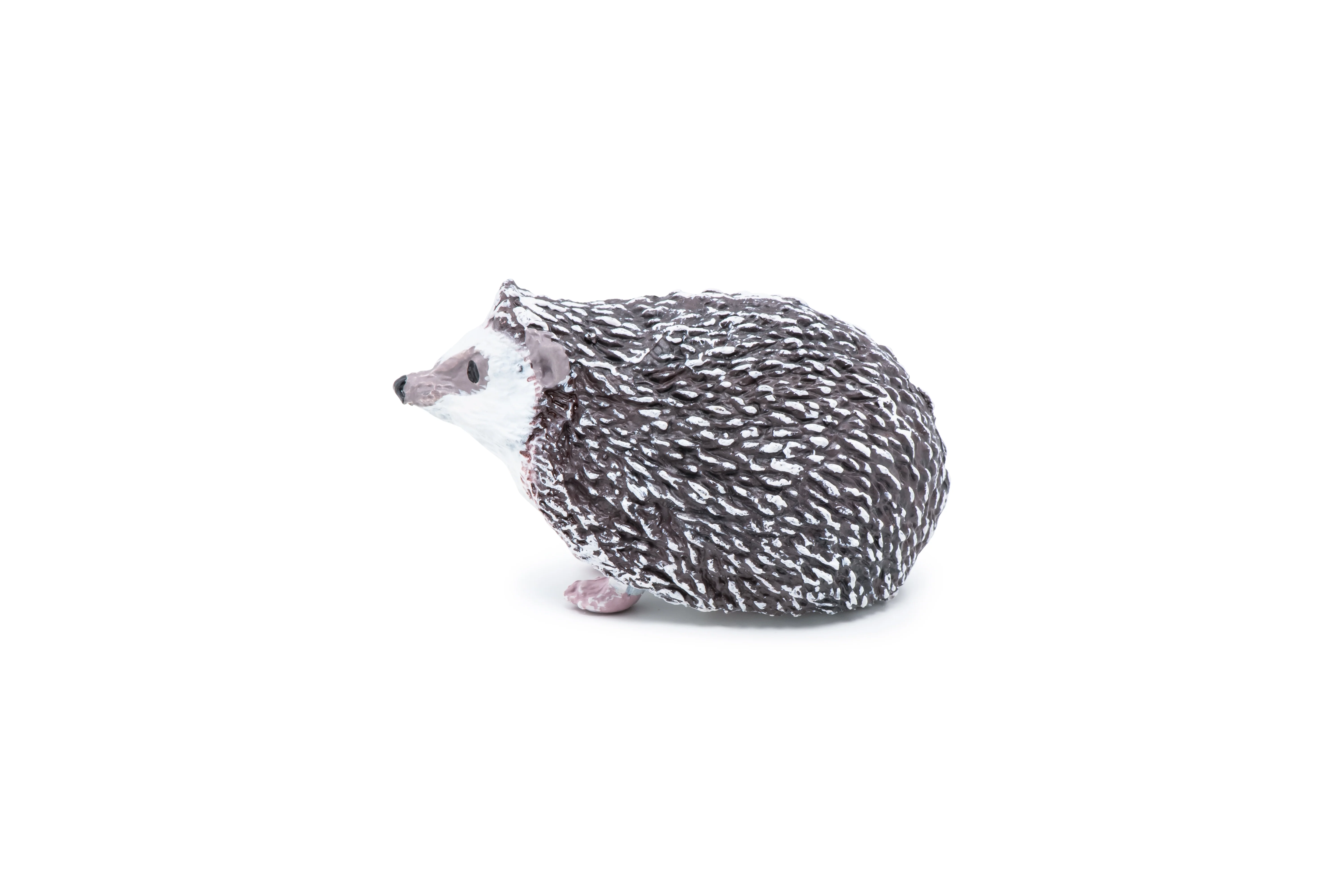 Miniature 4