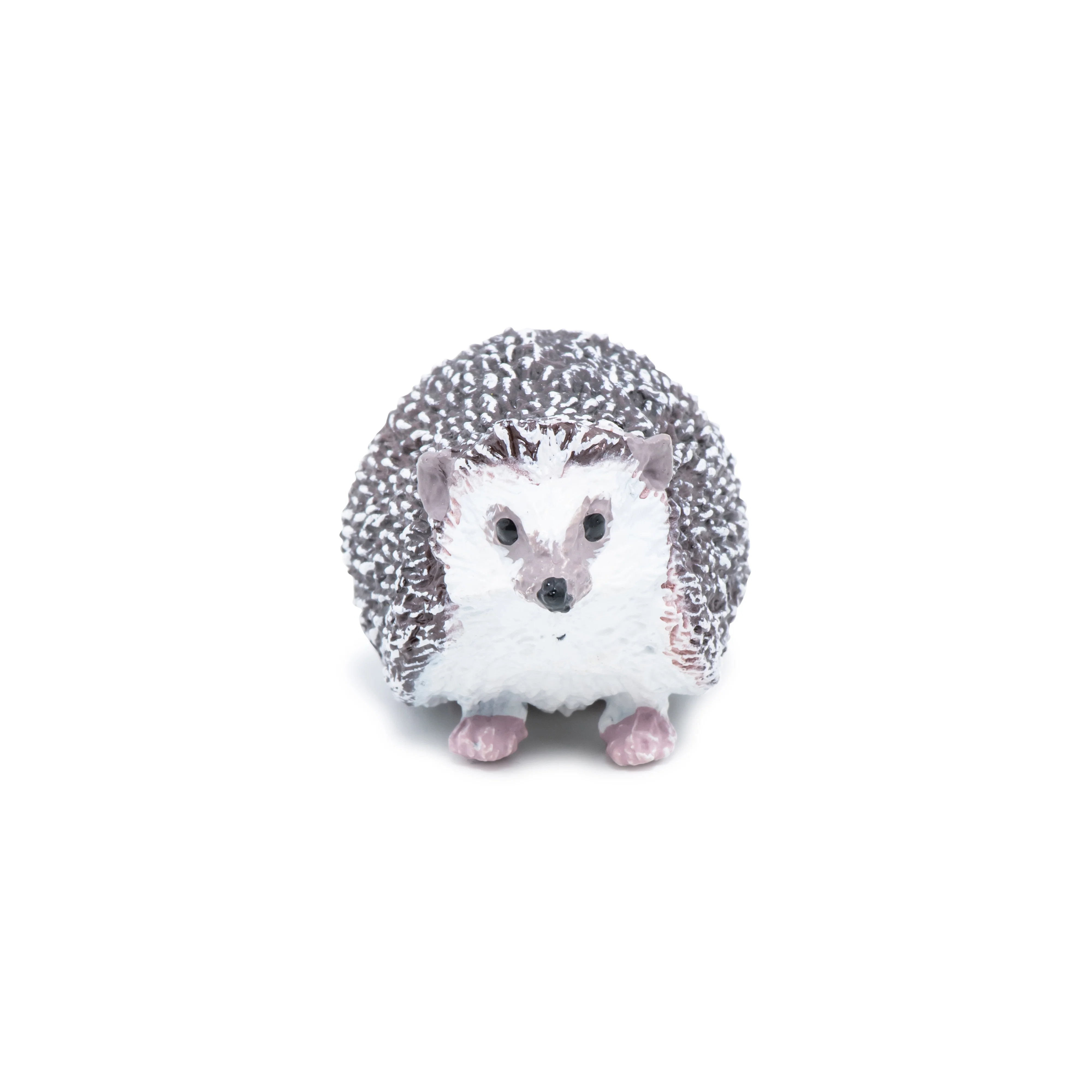 Miniature 5