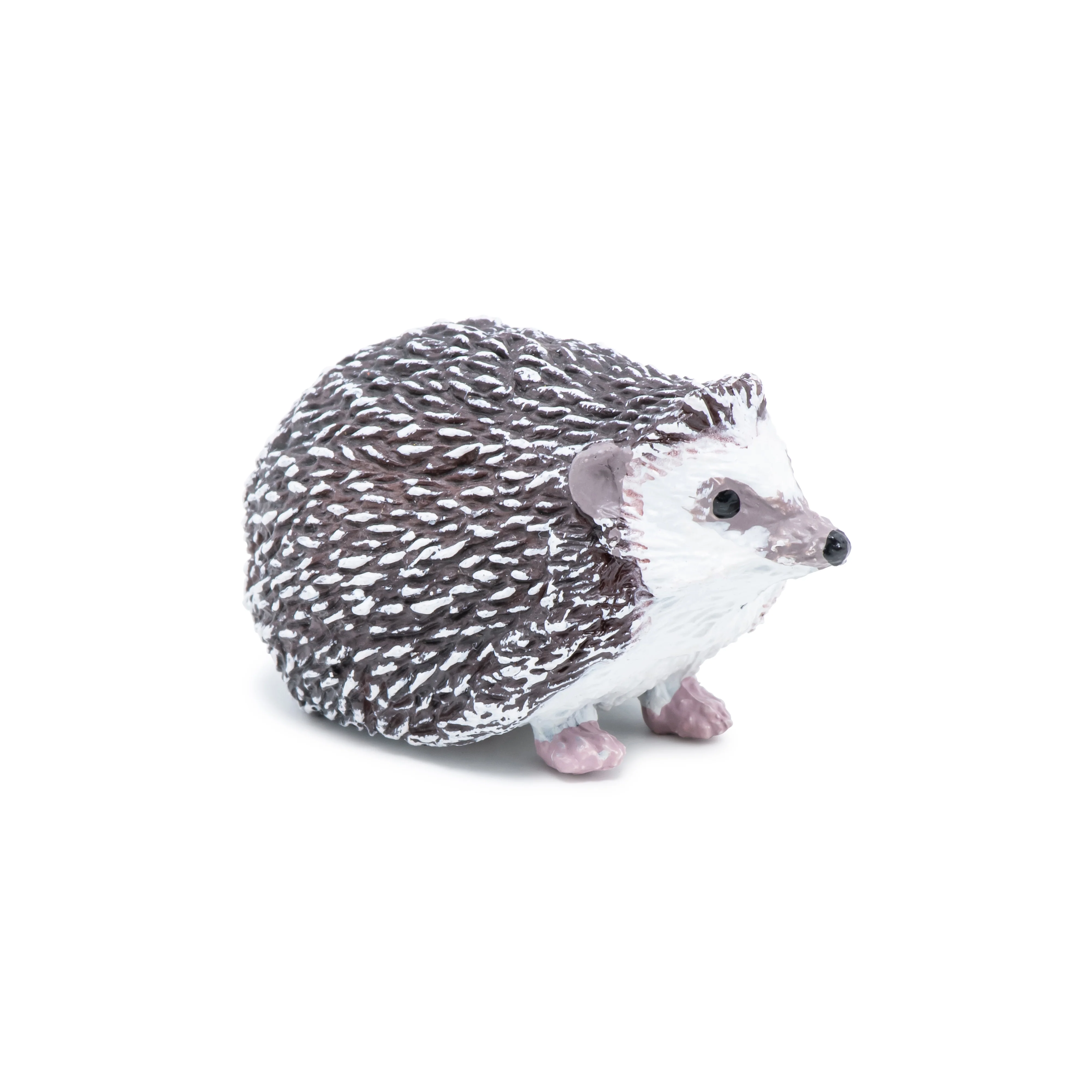 Miniature 6