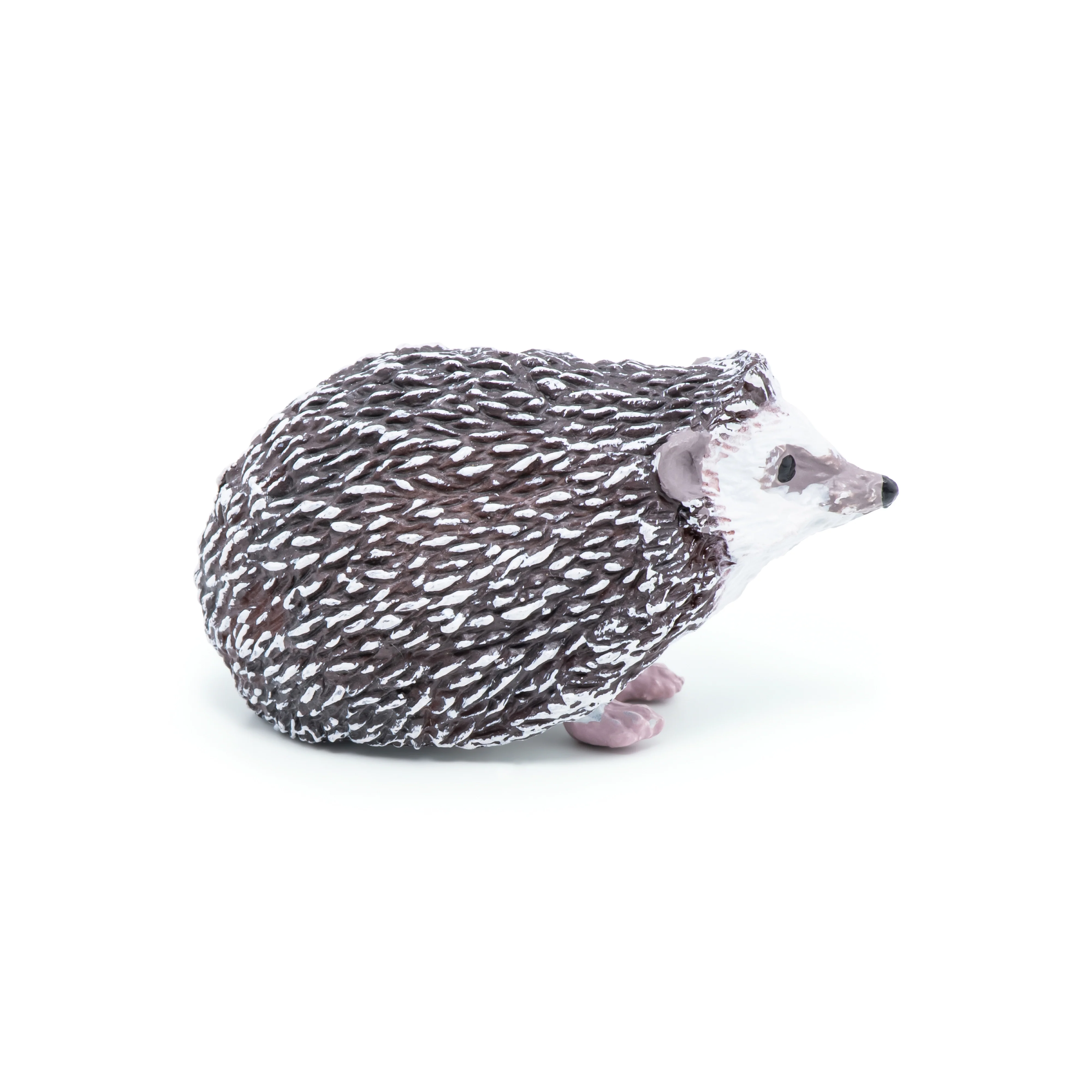 Miniature 7
