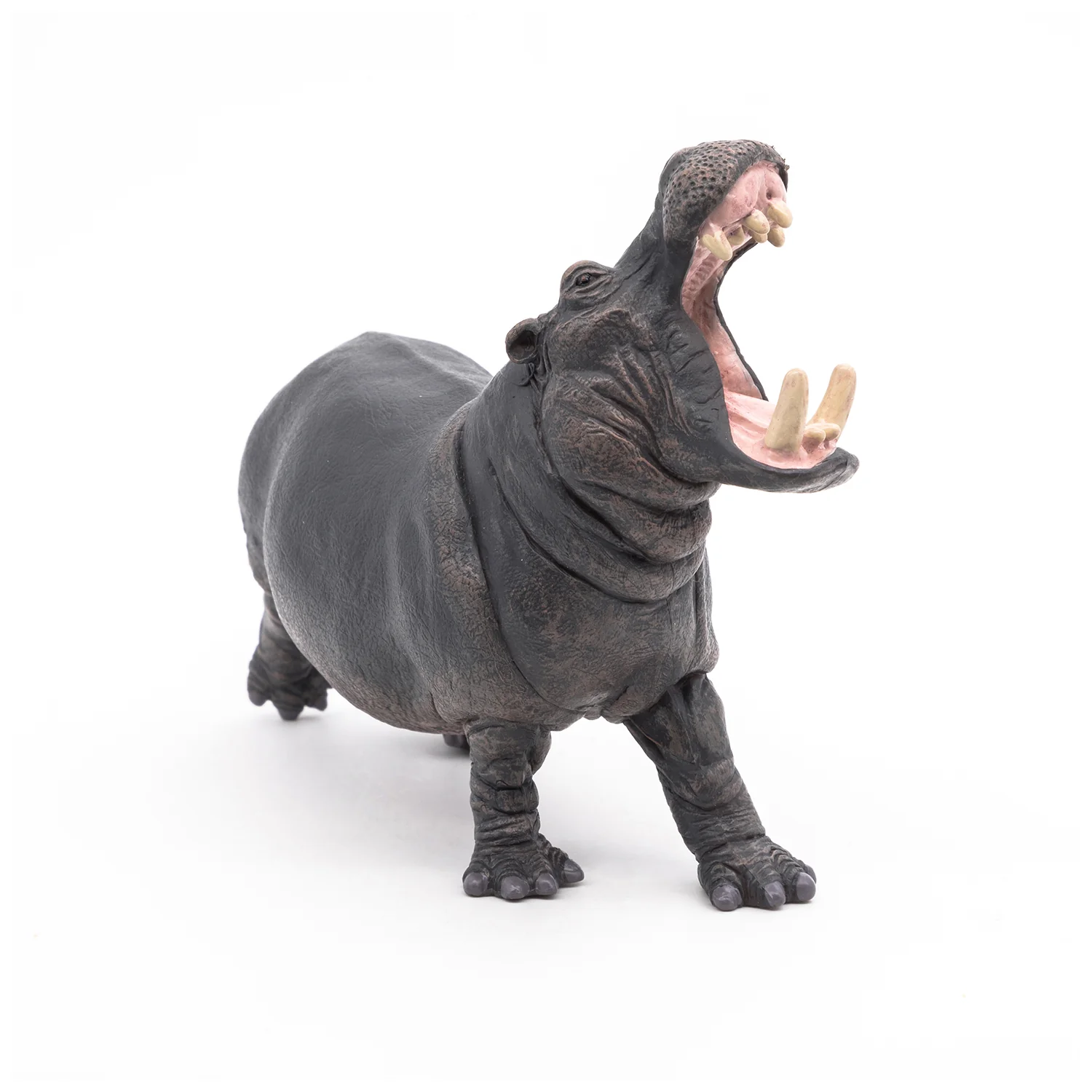 Miniature 3