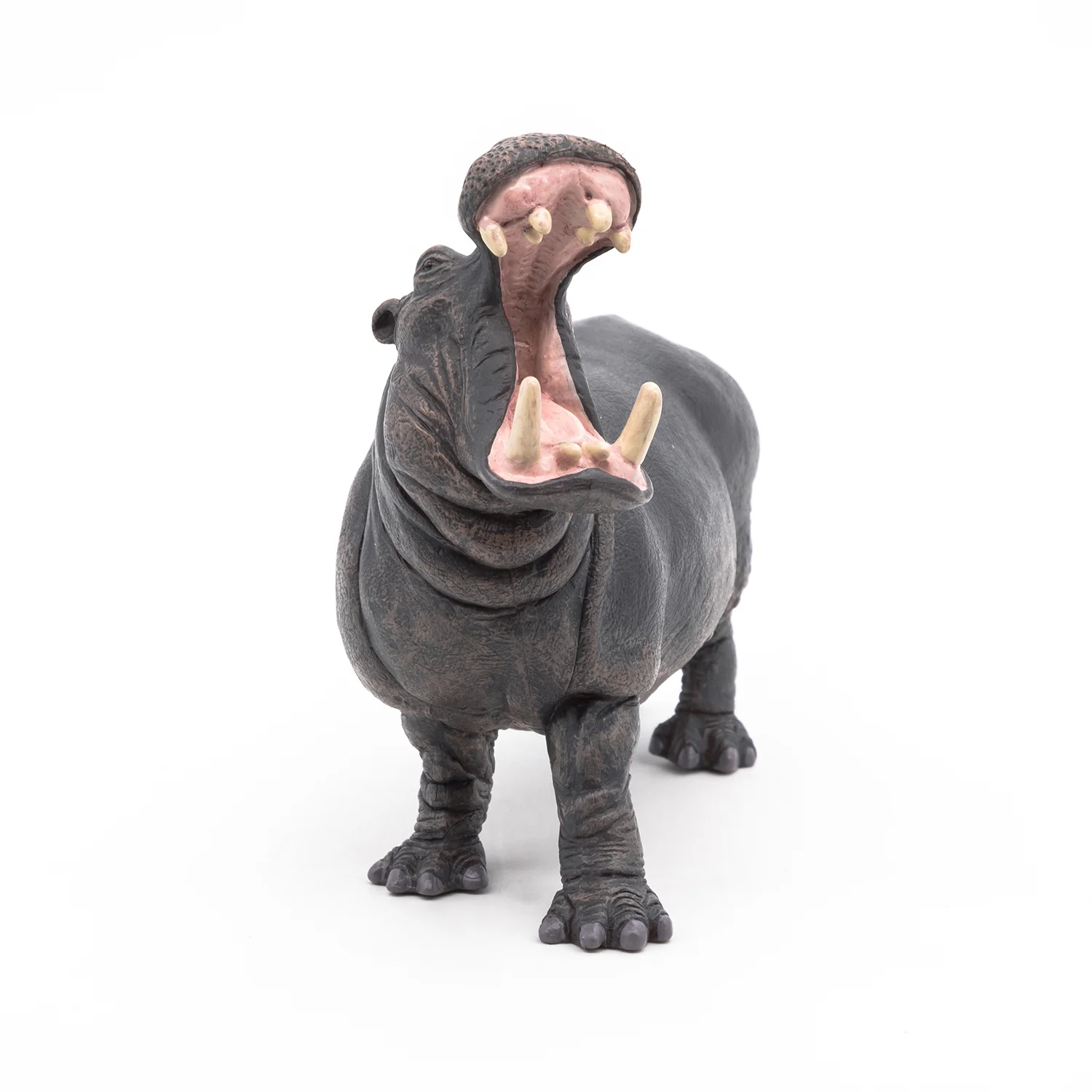 Miniature 4