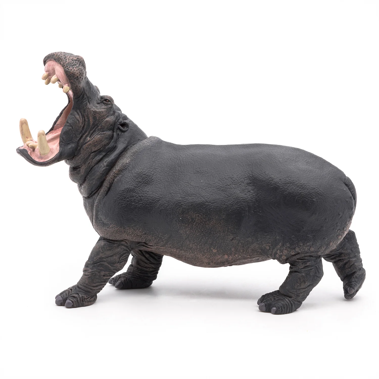Miniature 6