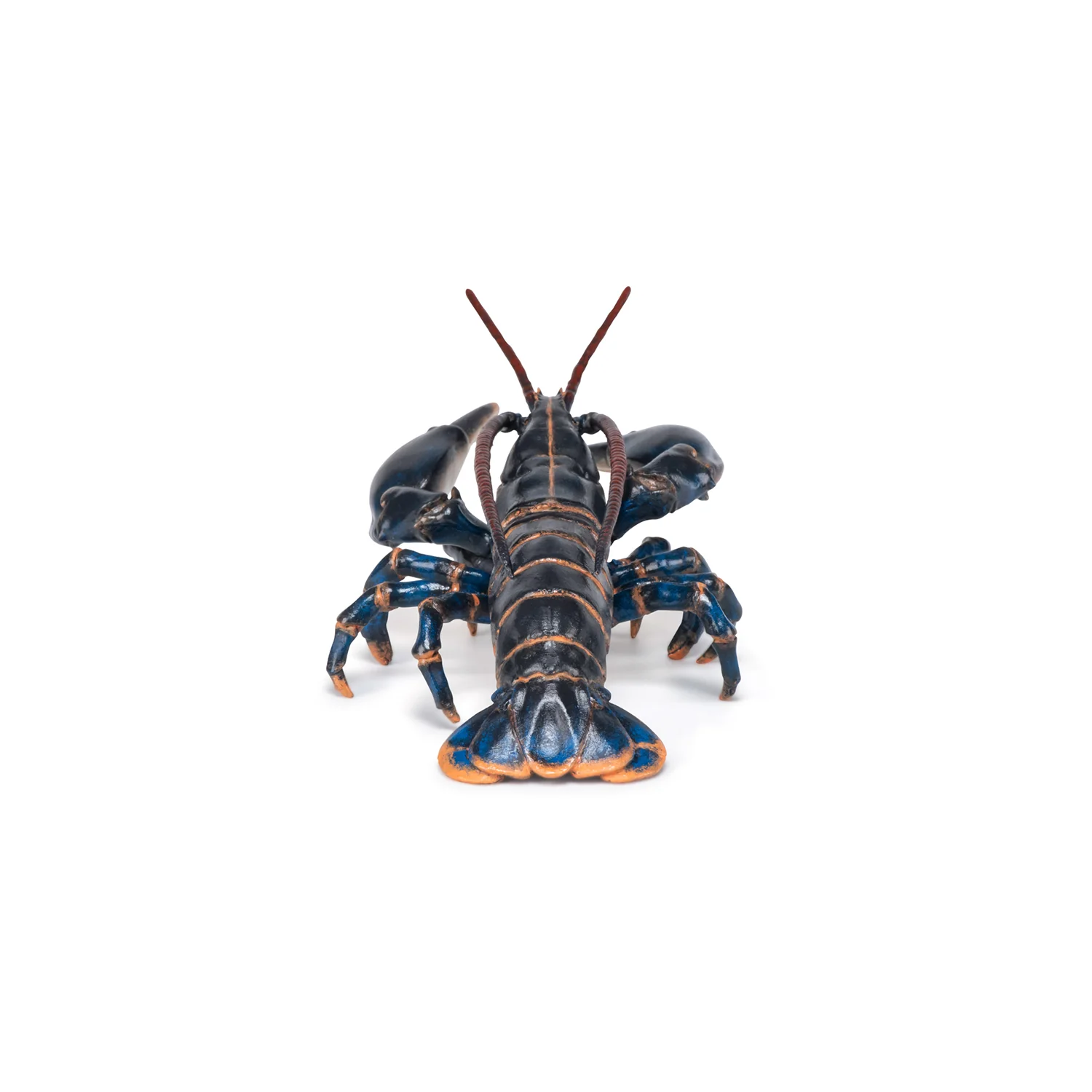 Miniature 2