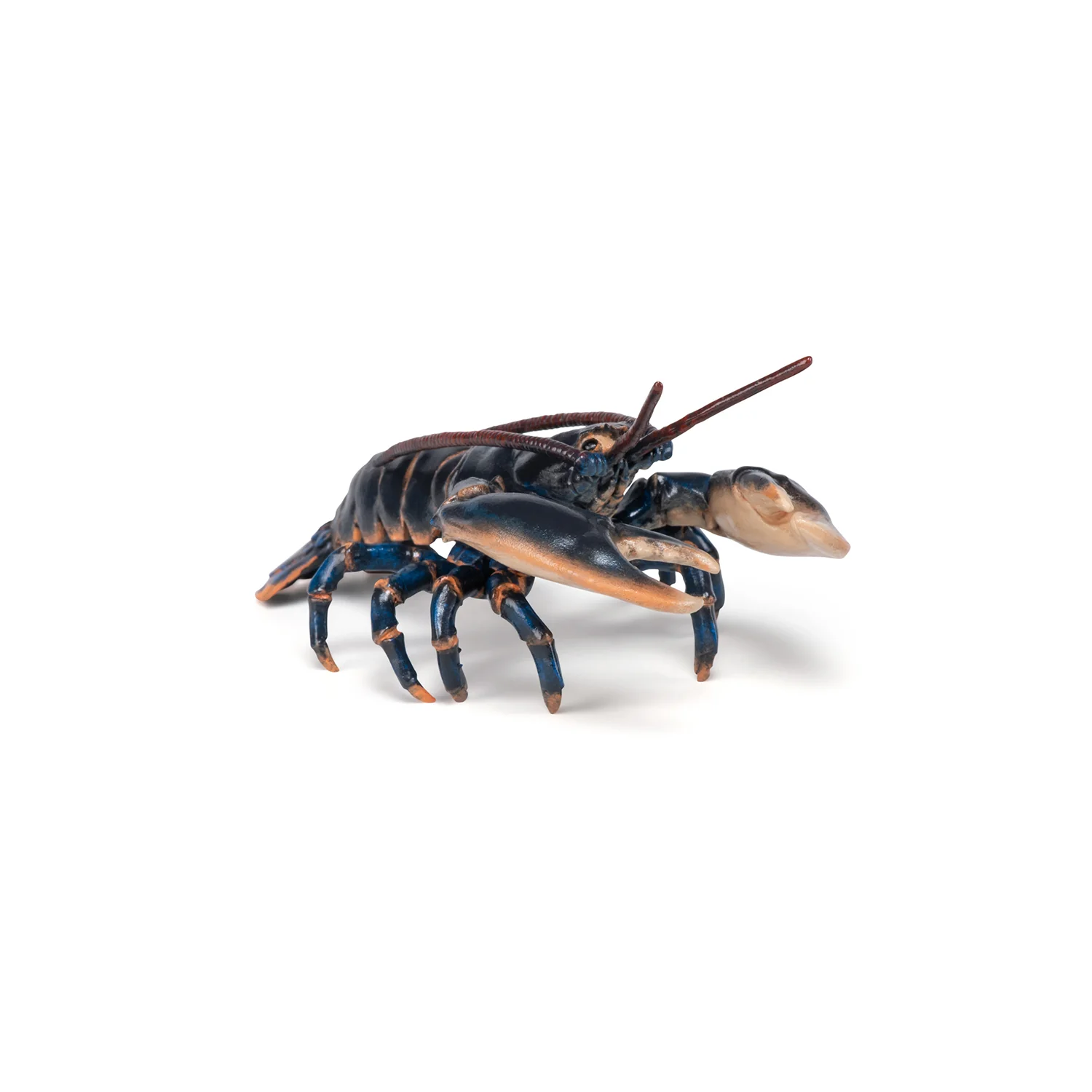 Miniature 5