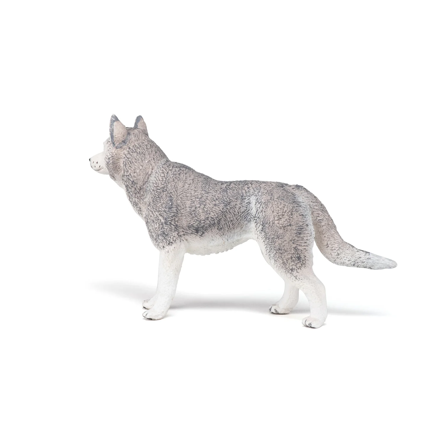 Miniature 4