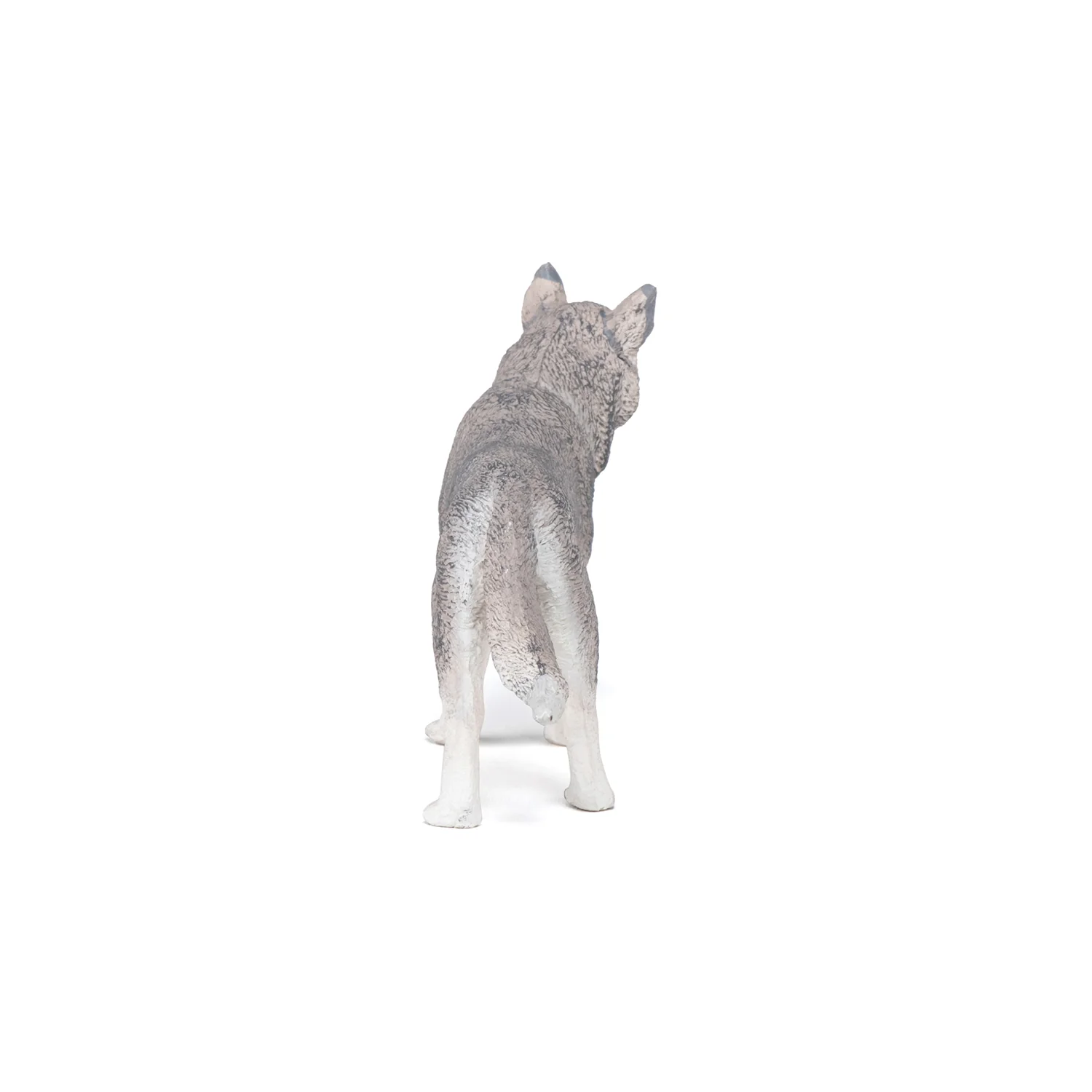 Miniature 5