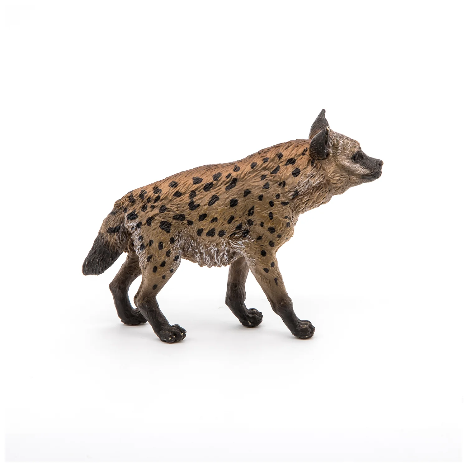 Miniature 3
