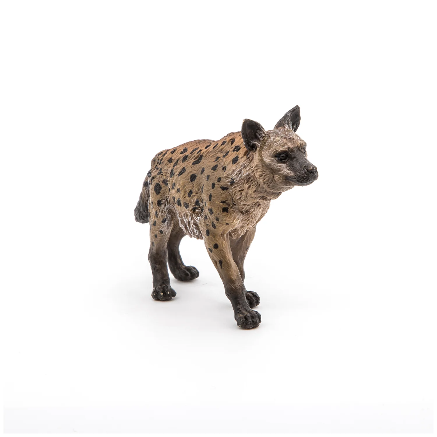 Miniature 4