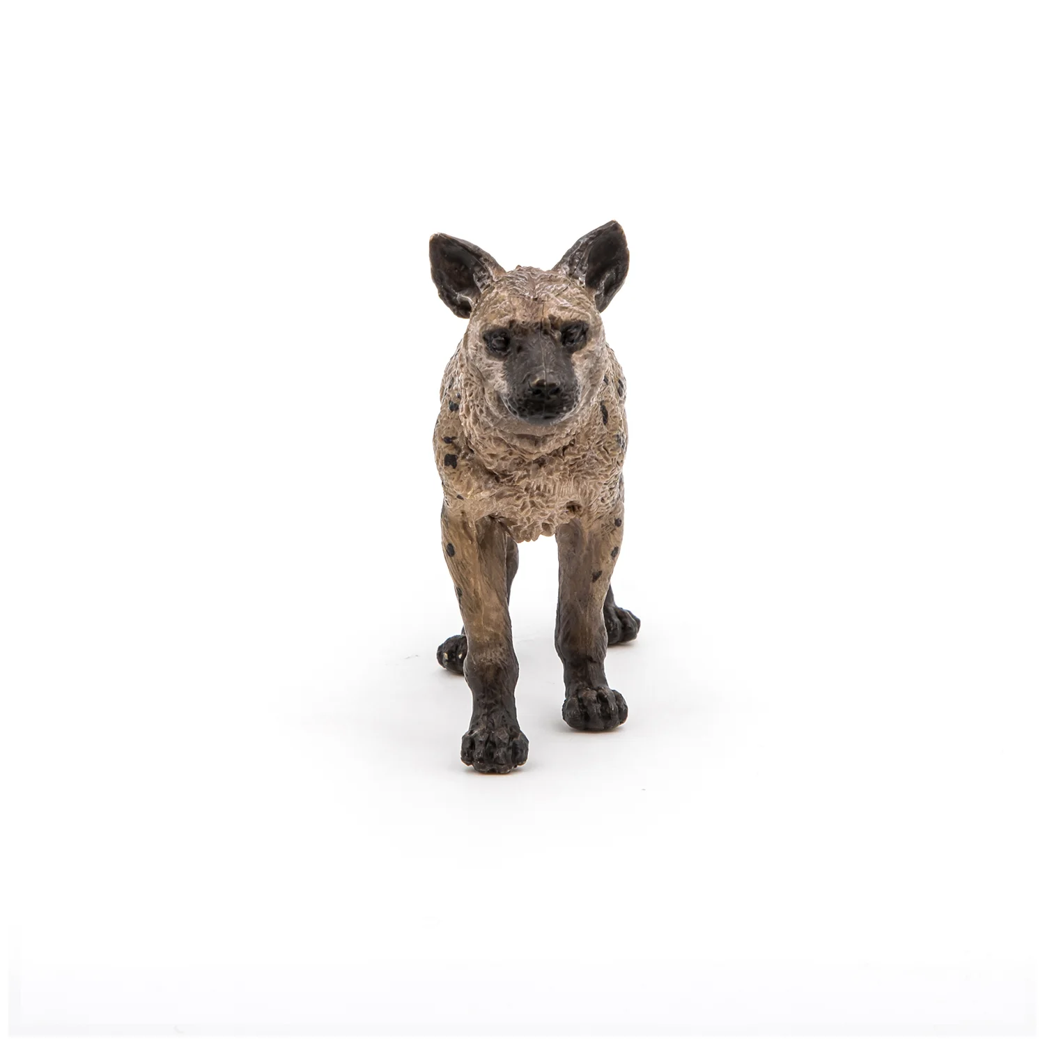 Miniature 5
