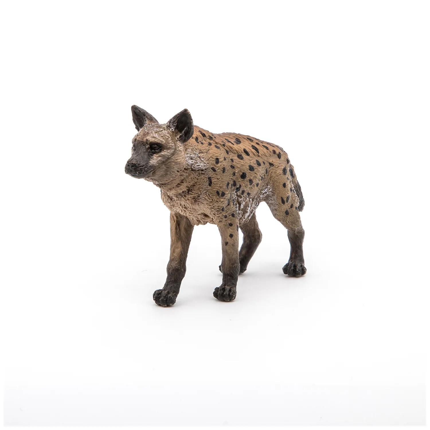 Miniature 6