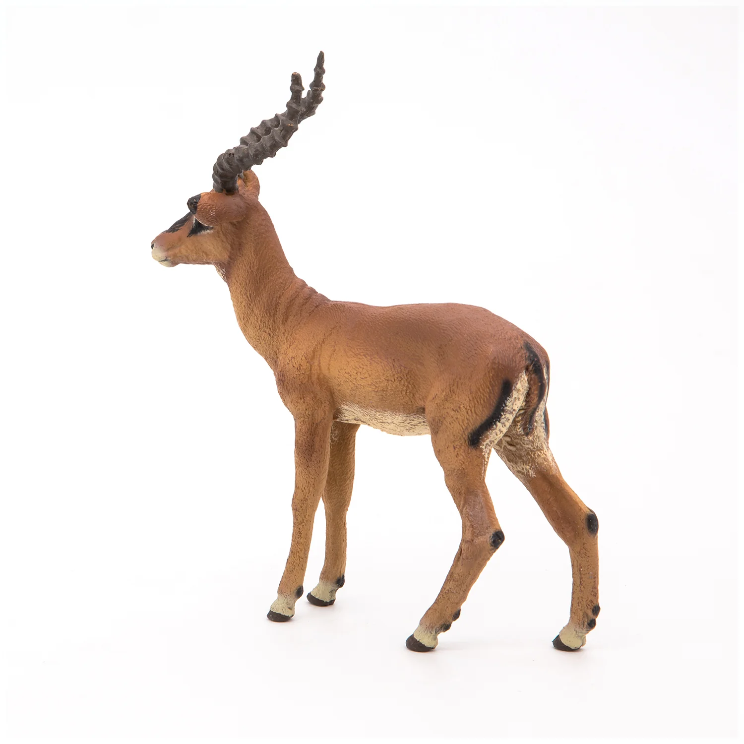 Miniature 2