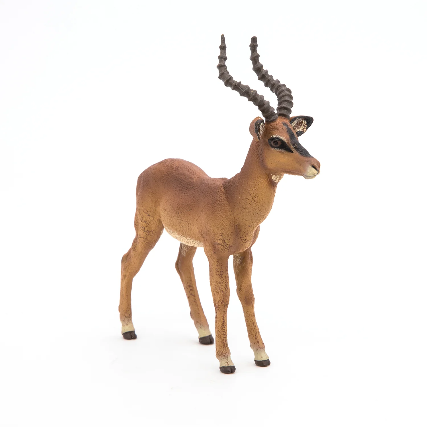 Miniature 5