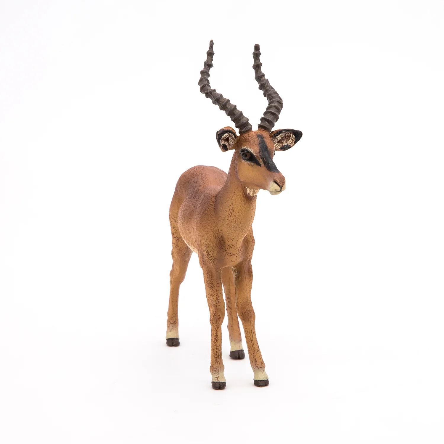 Miniature 6