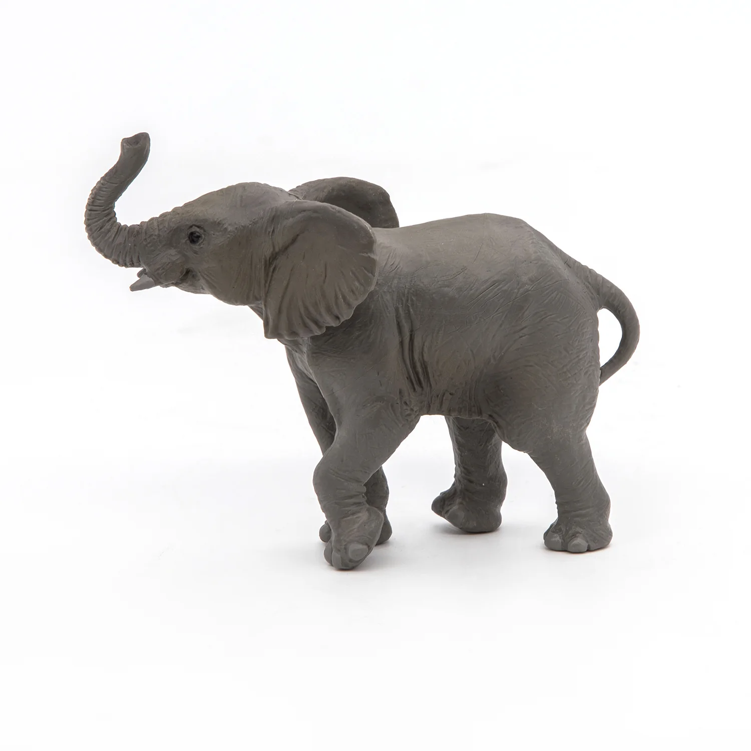 Miniature 5