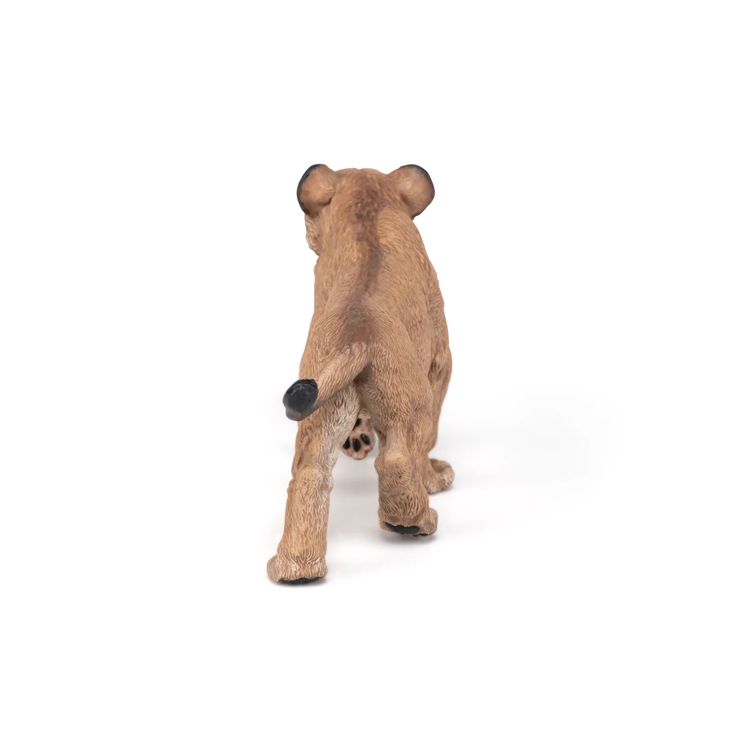 Miniature 5