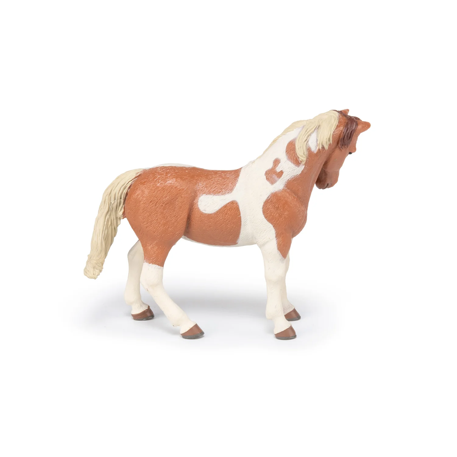 Miniature 5