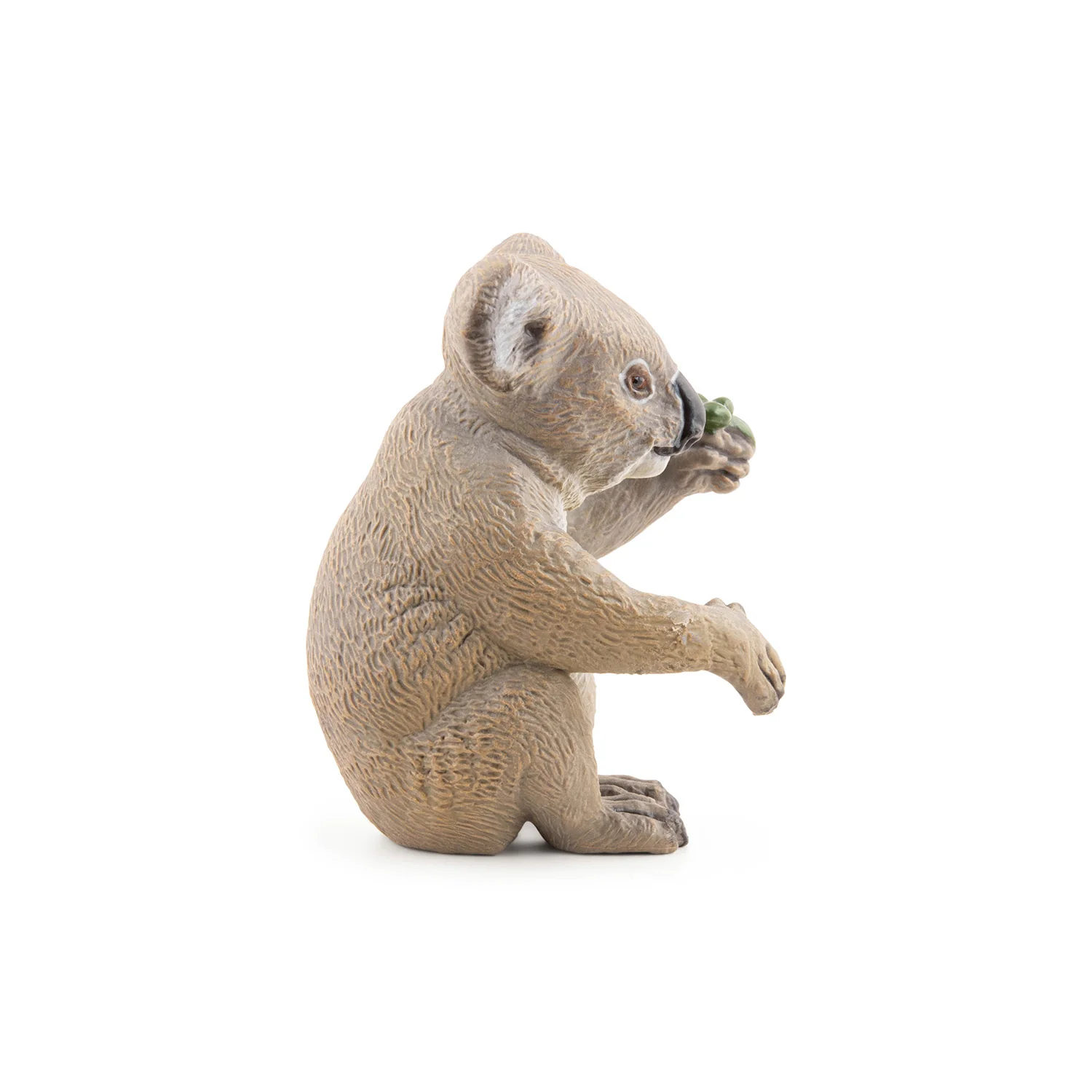 Miniature 5