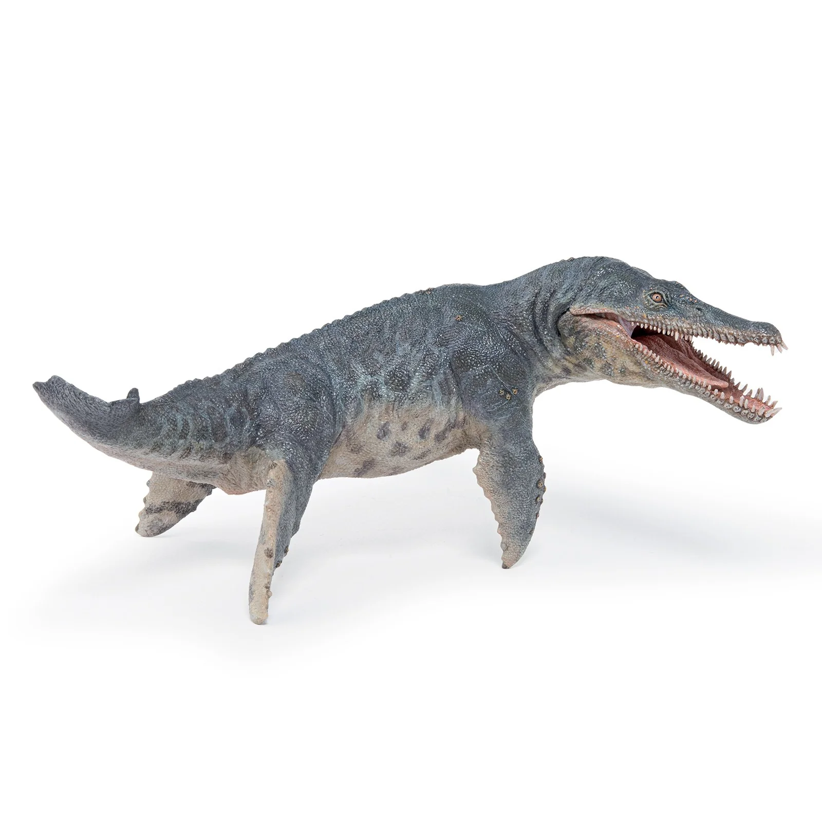 Miniature 1