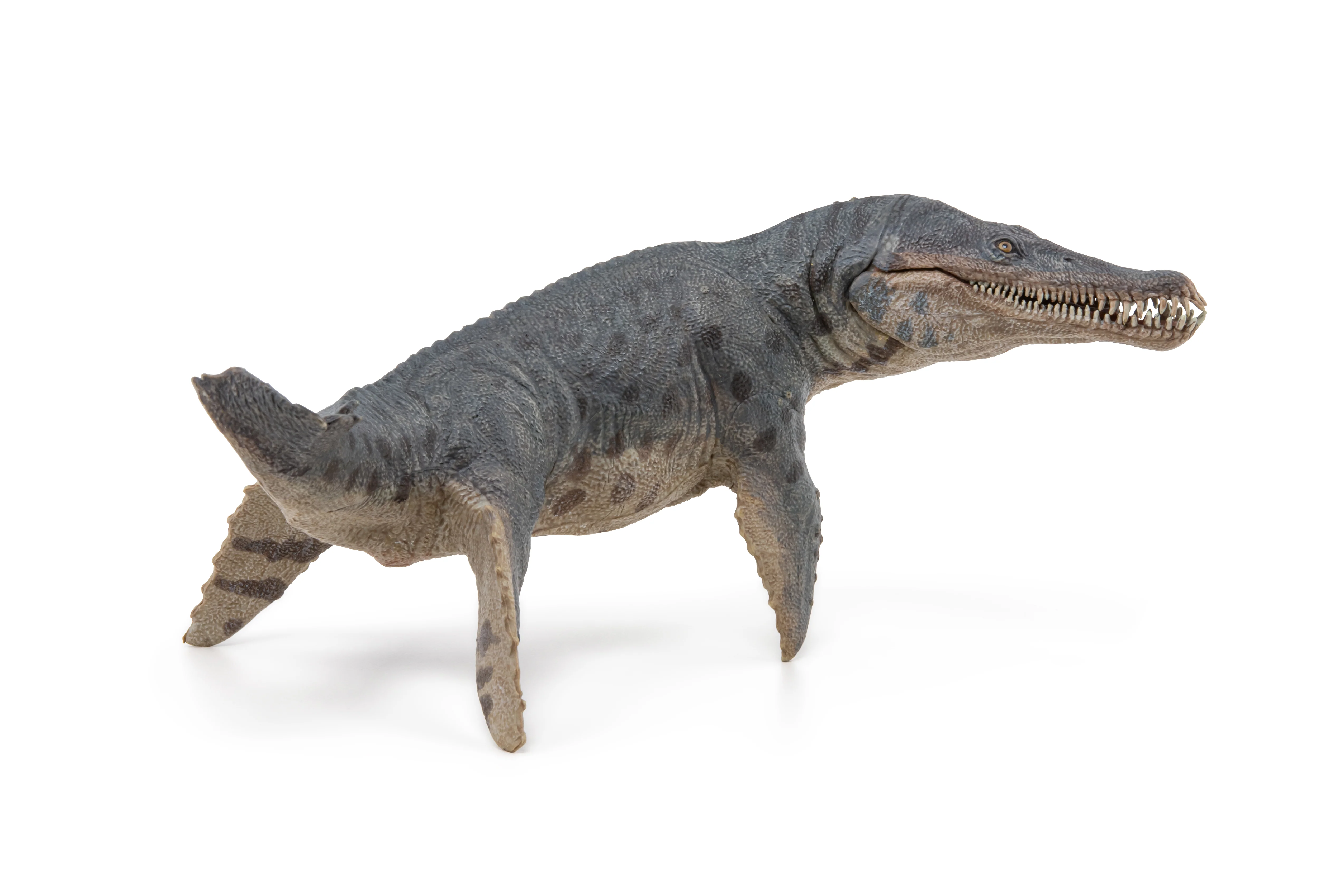 Miniature 5