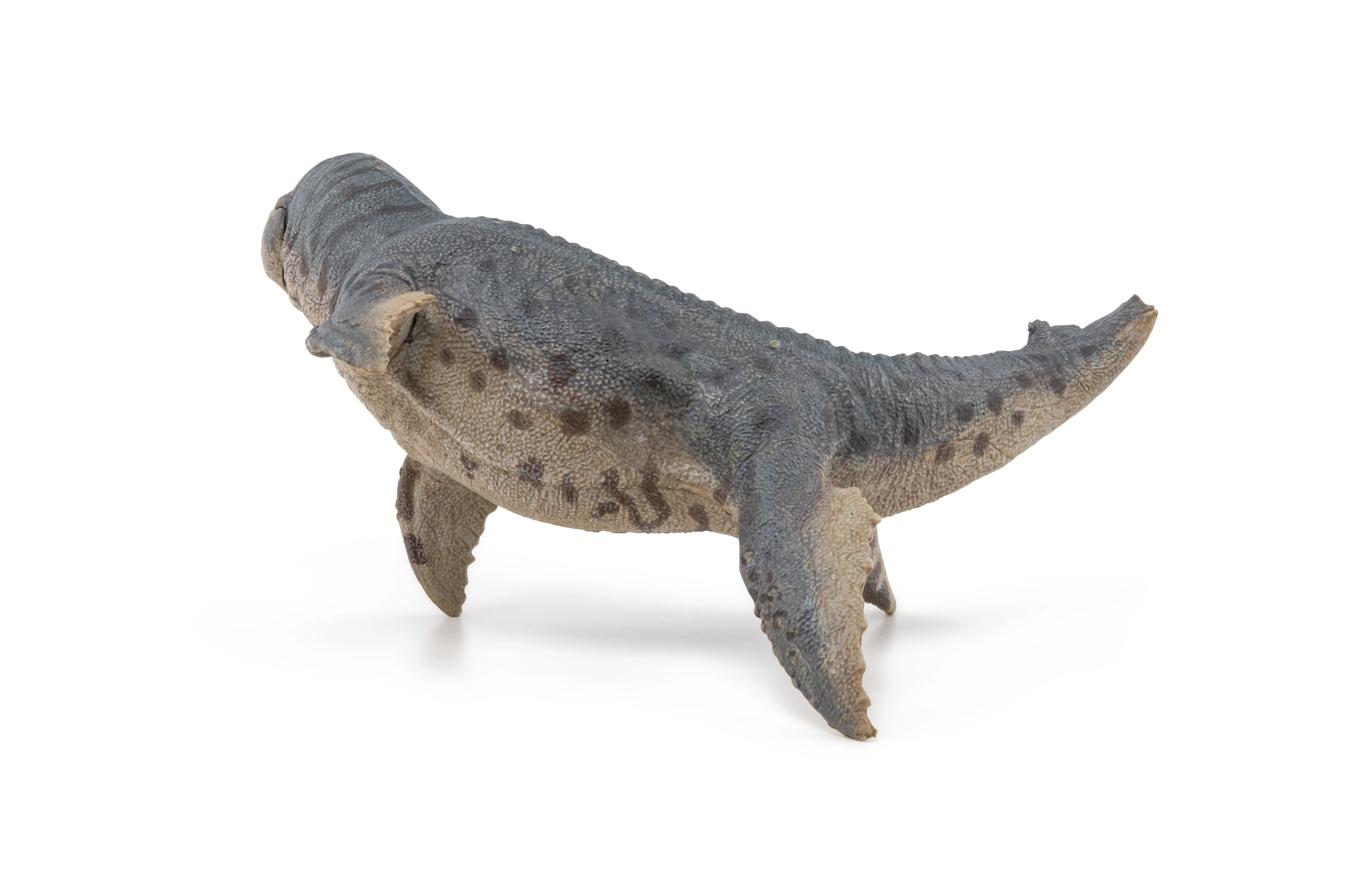 Miniature 7