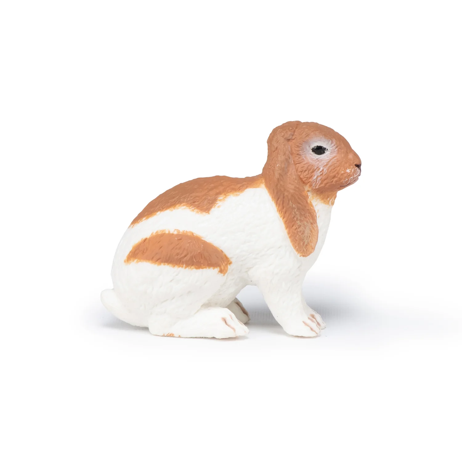 Miniature 5