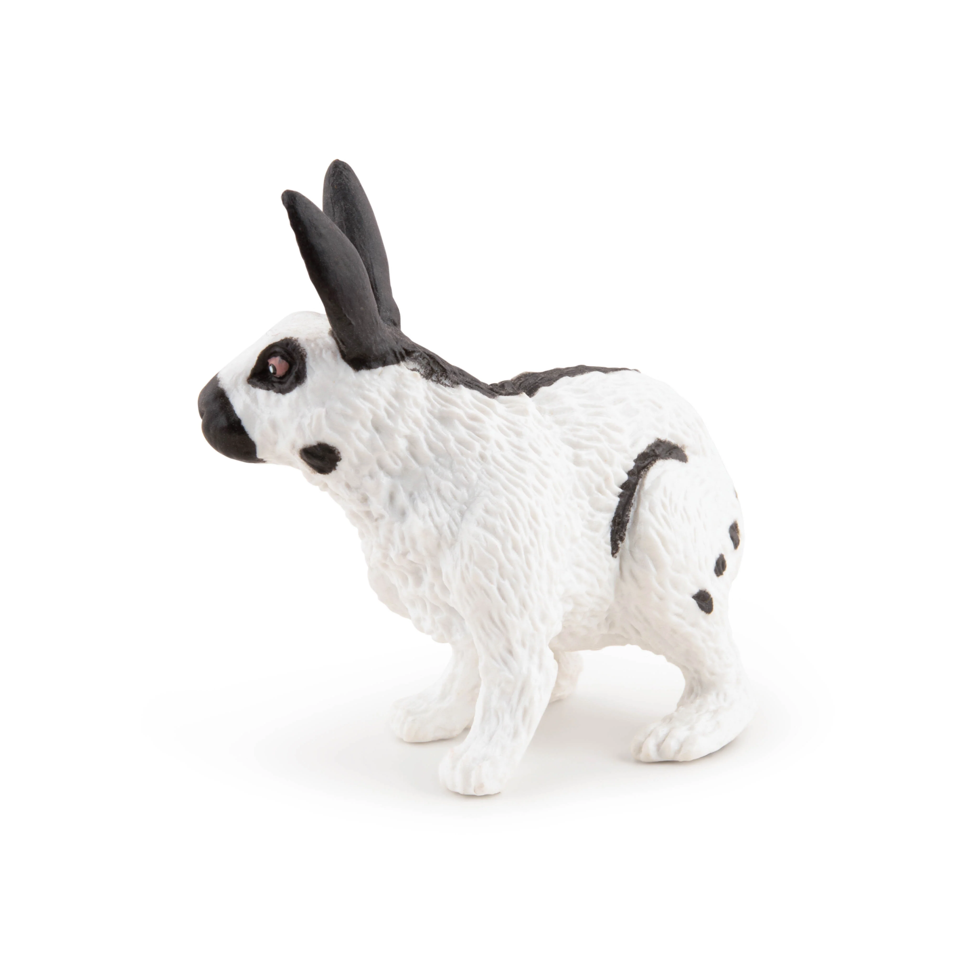 Miniature 4