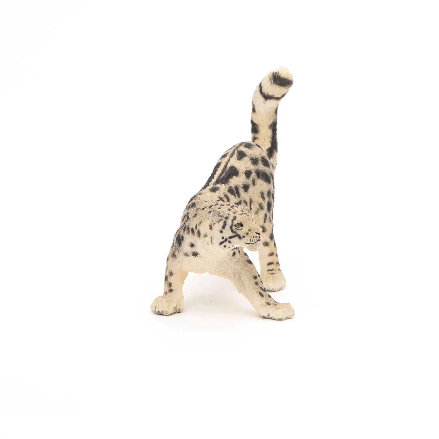 Miniature 3