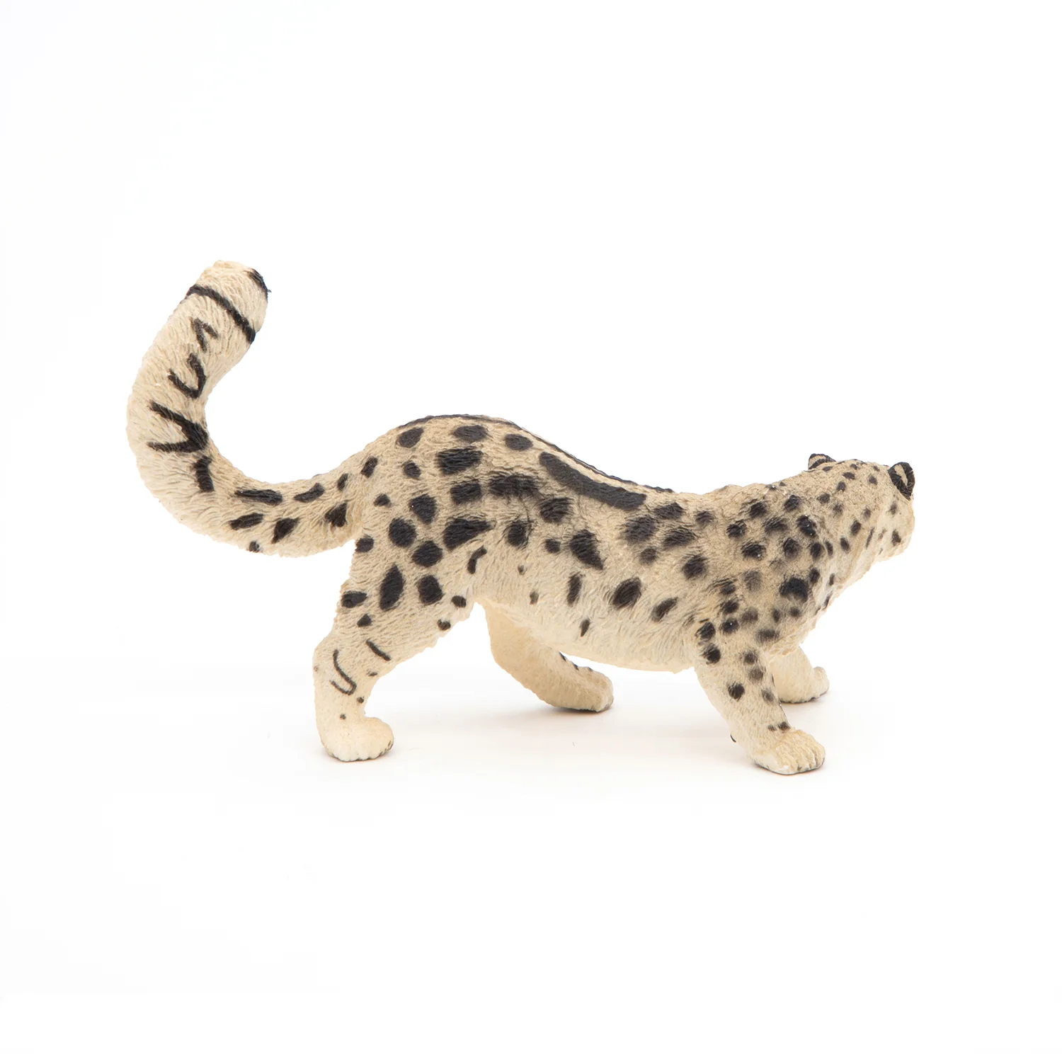 Miniature 5