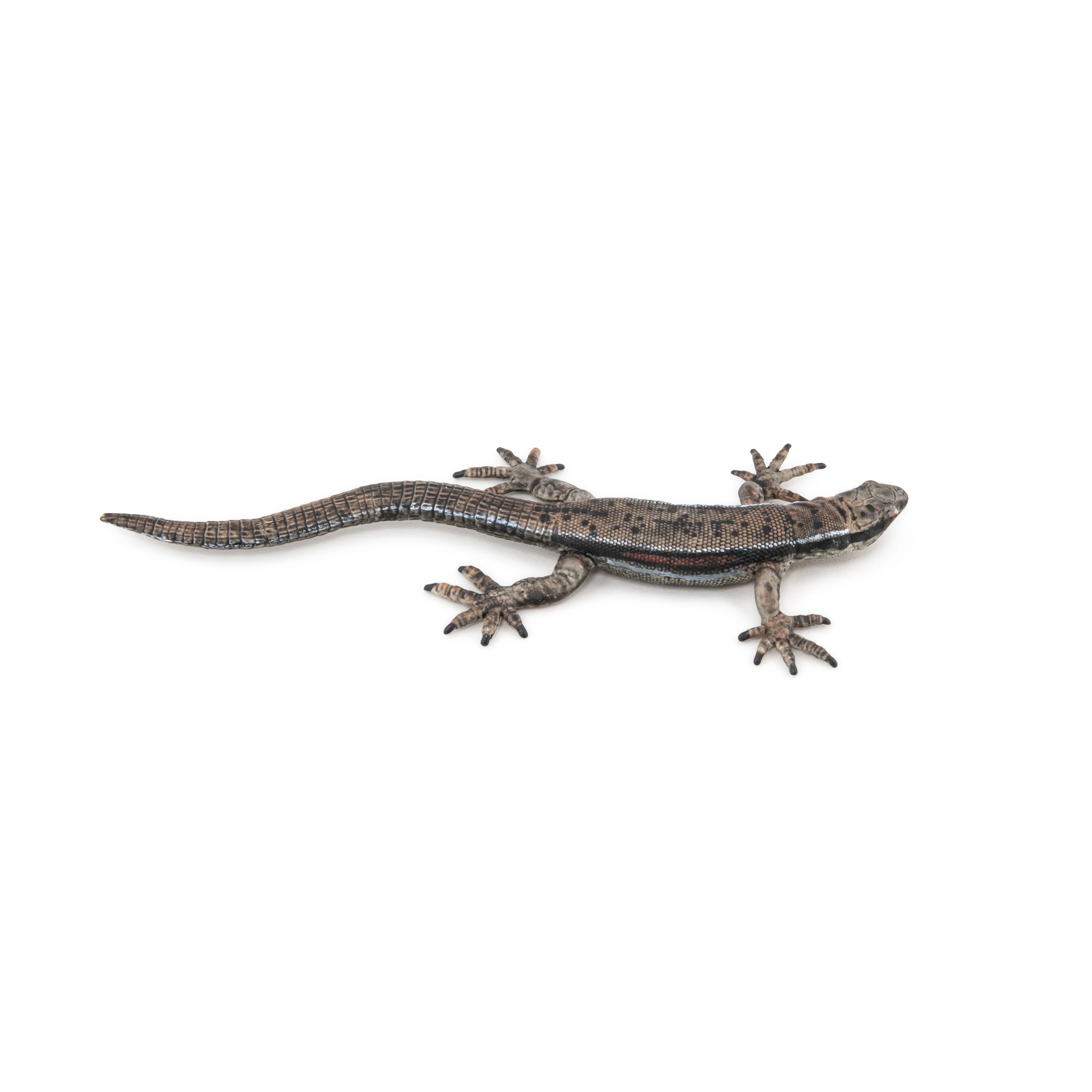 Miniature 4