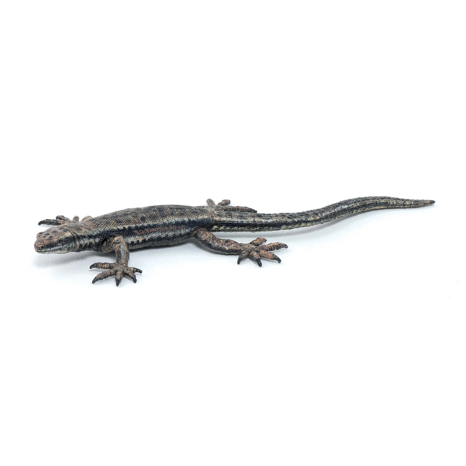 Miniature 5