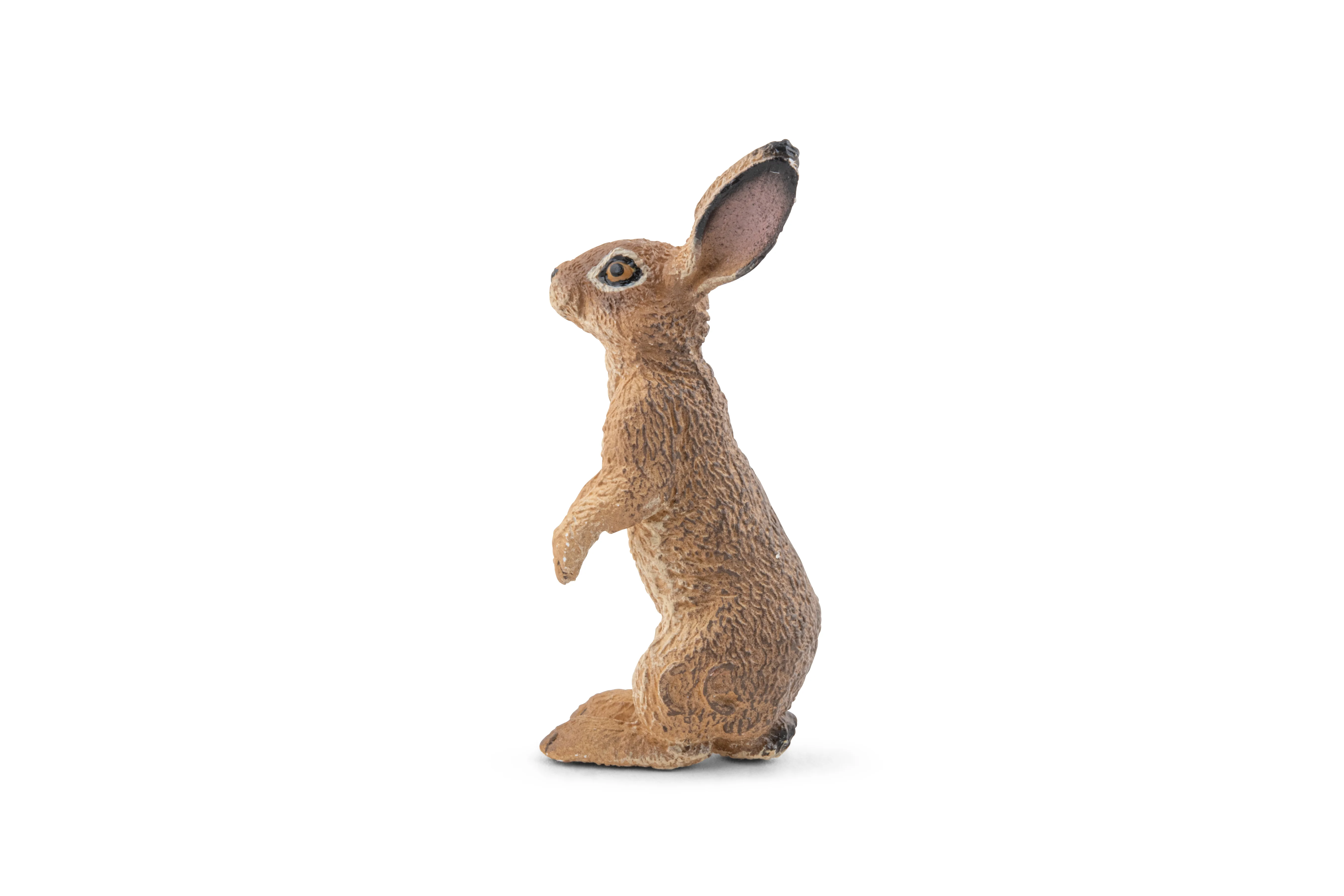 Miniature 3