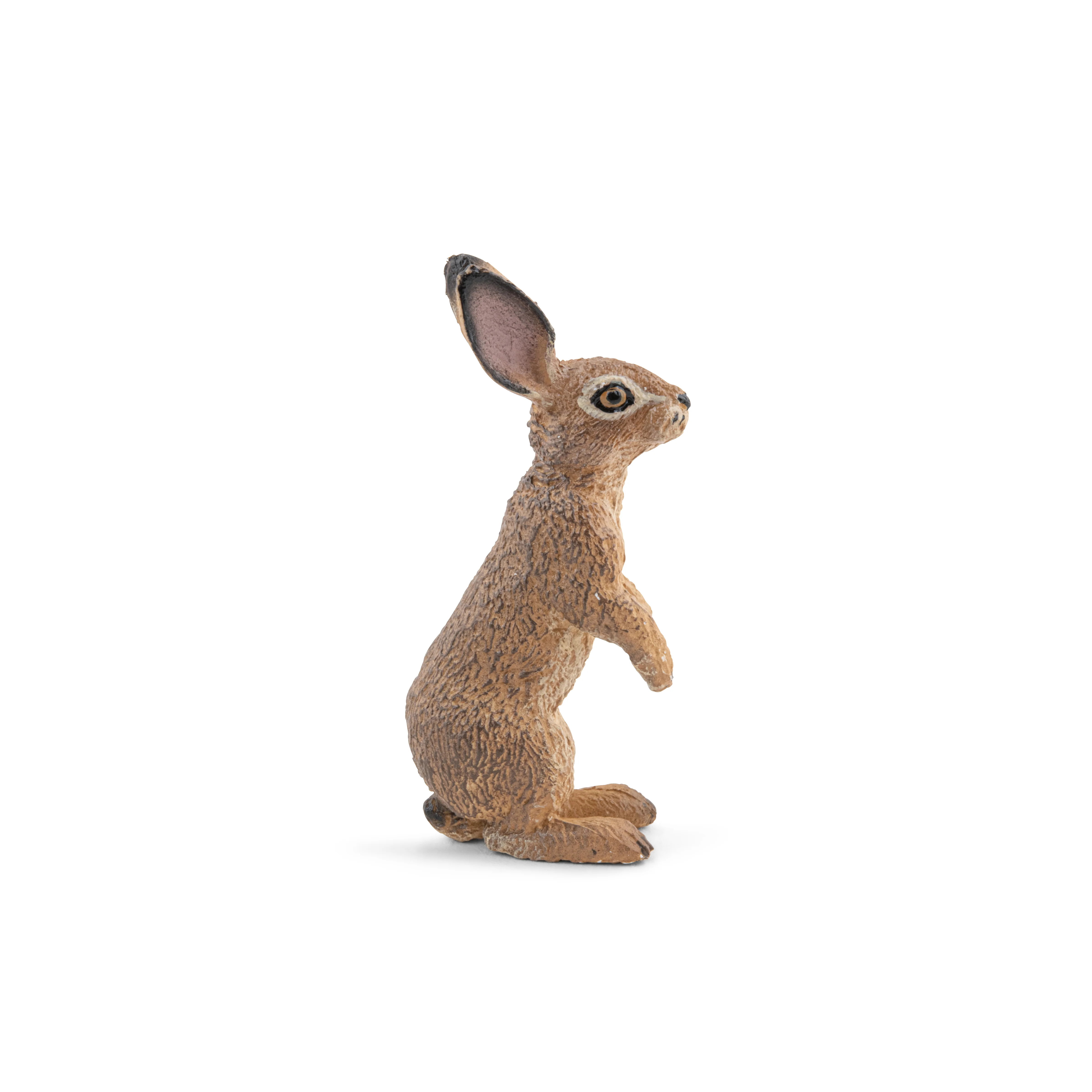 Miniature 5