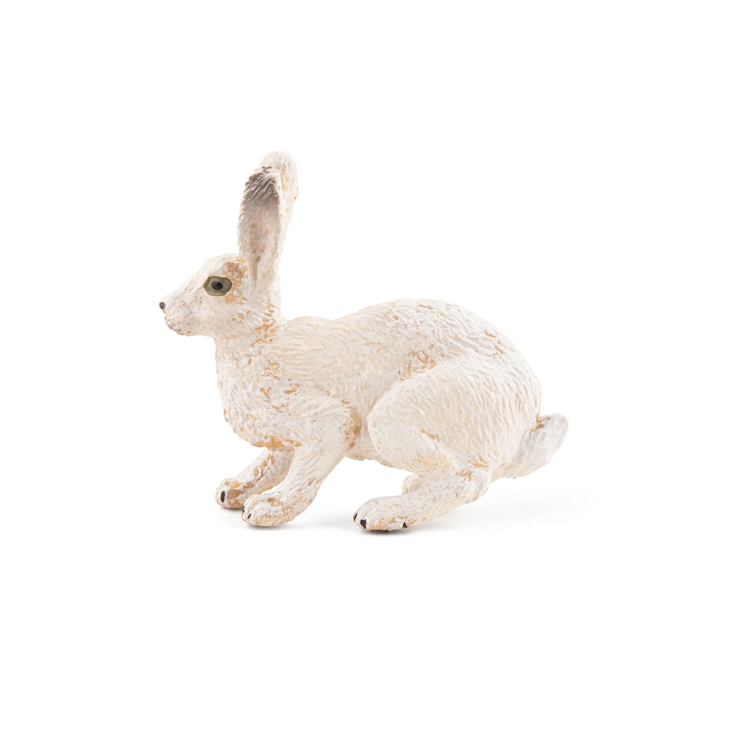 Miniature 5