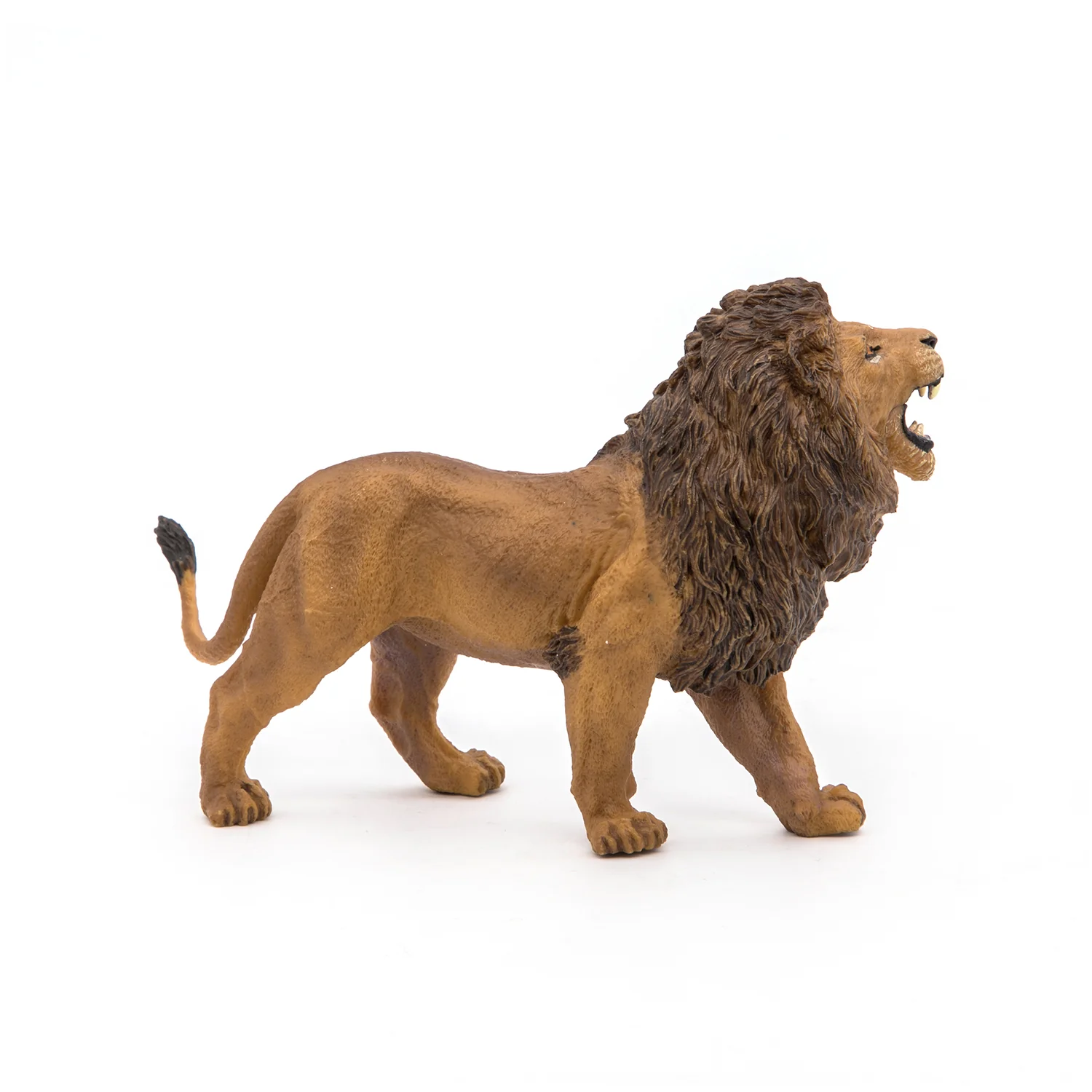 Miniature 5