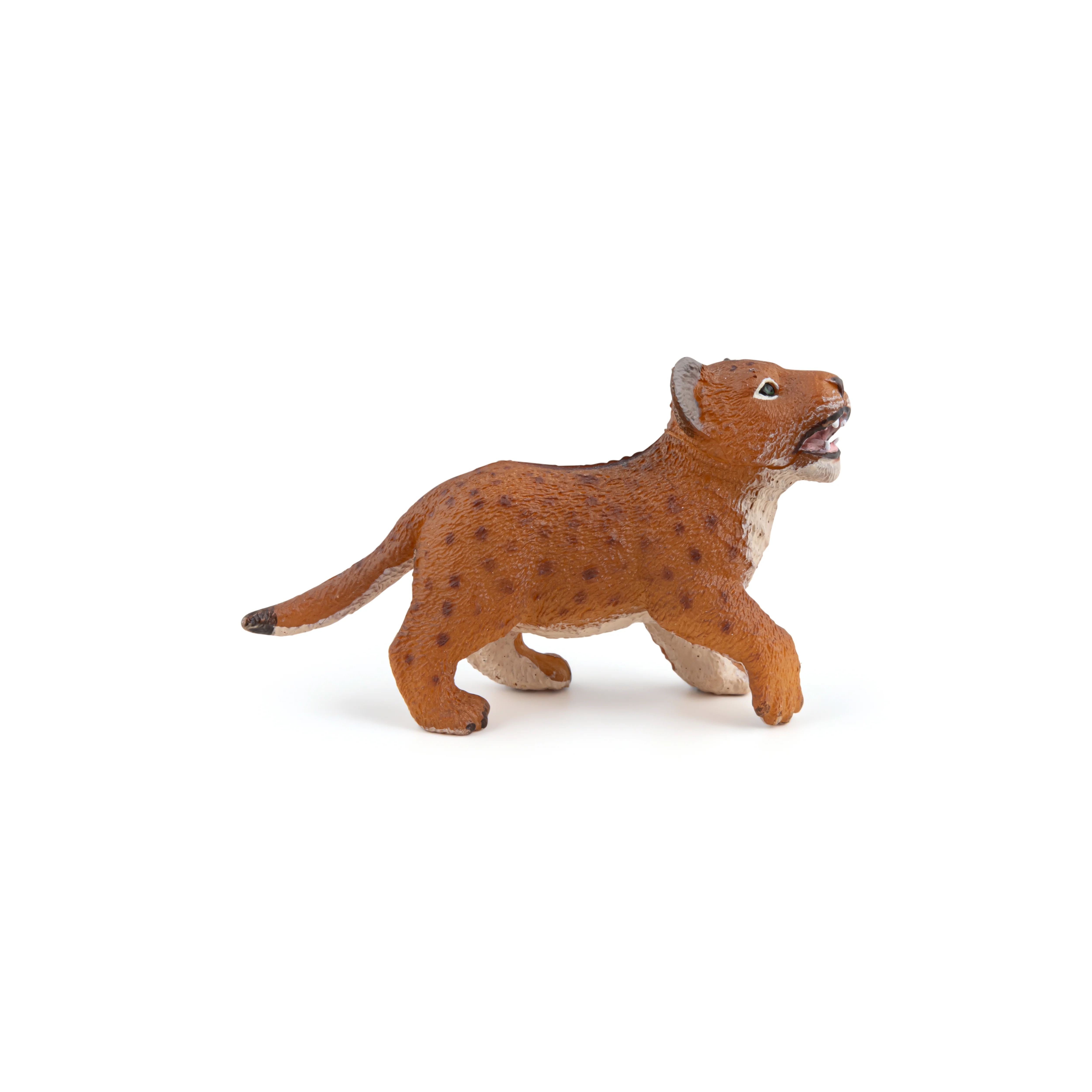 Miniature 5