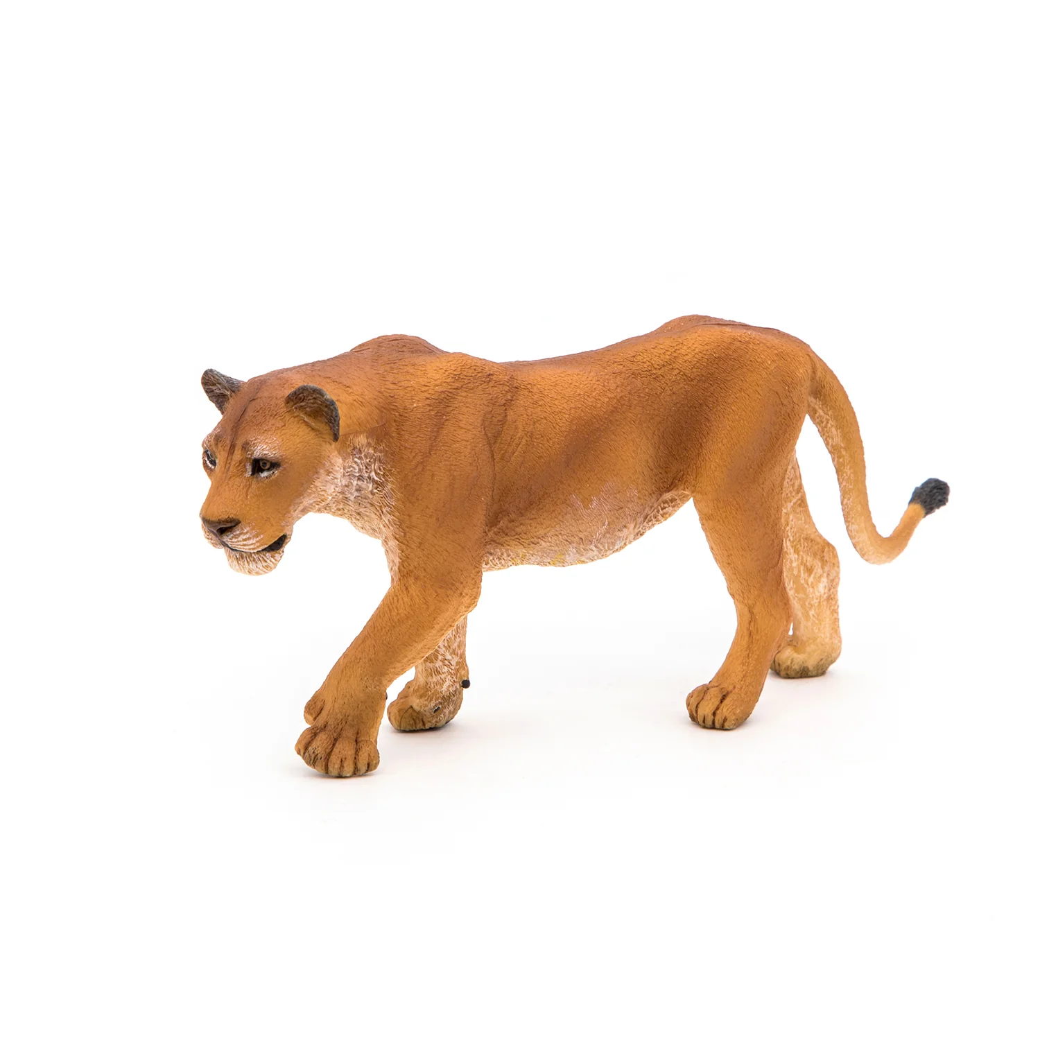 Miniature 2