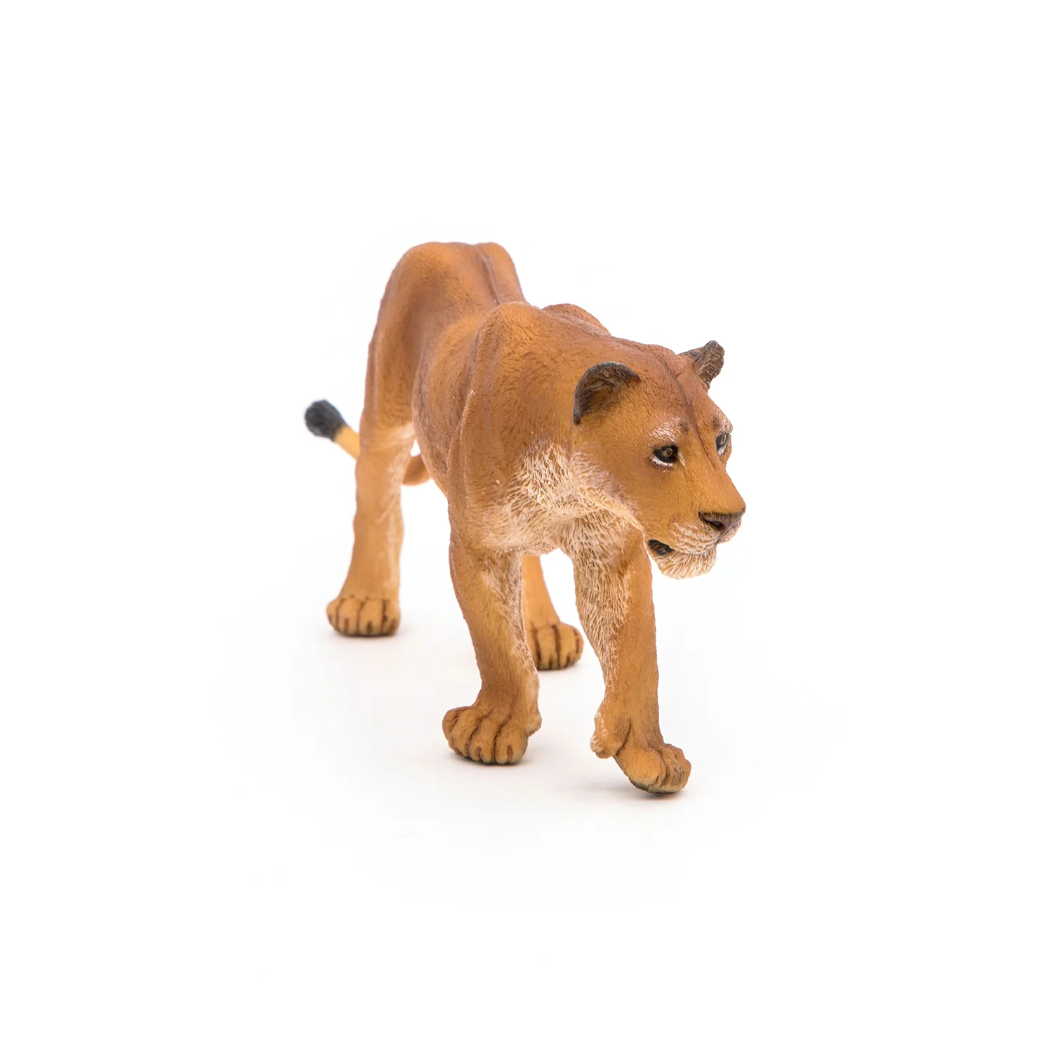 Miniature 4