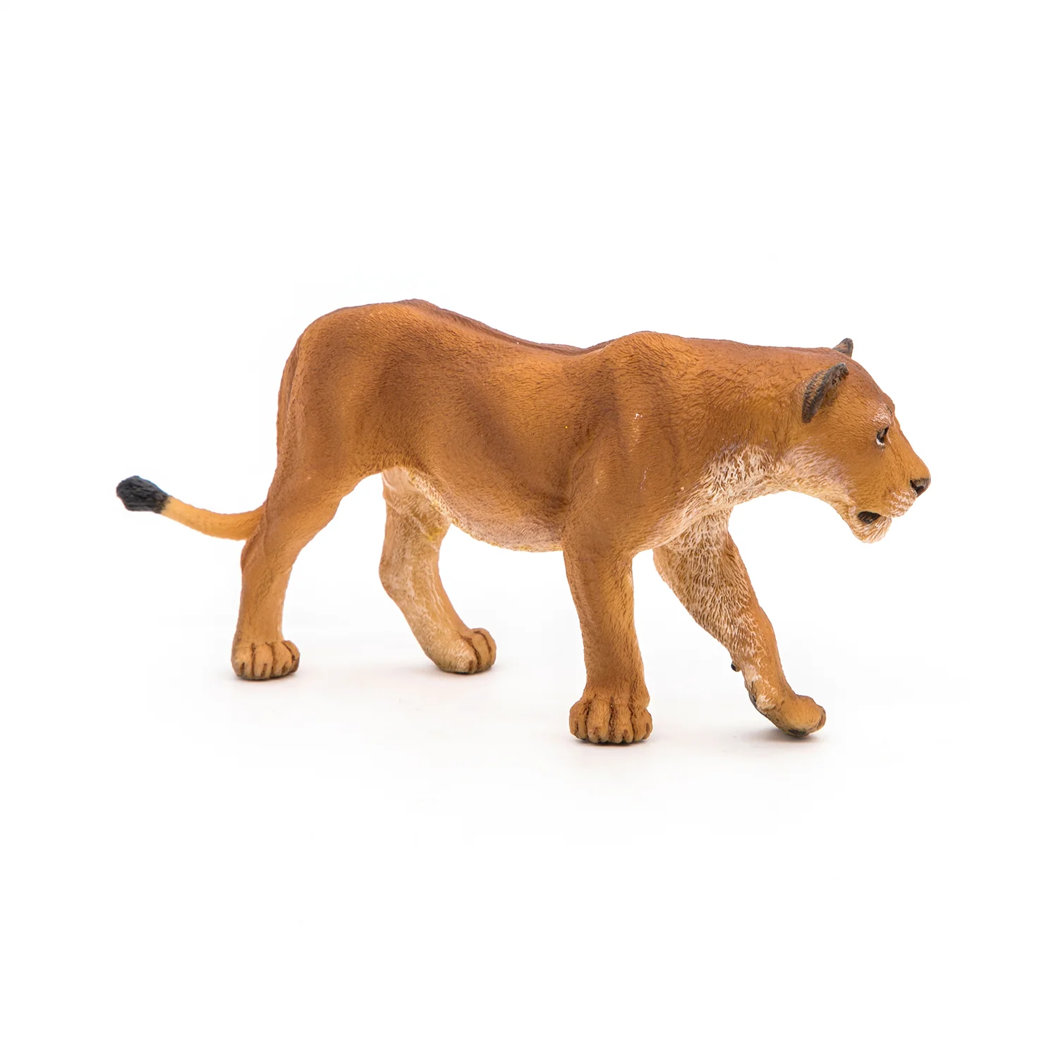 Miniature 5