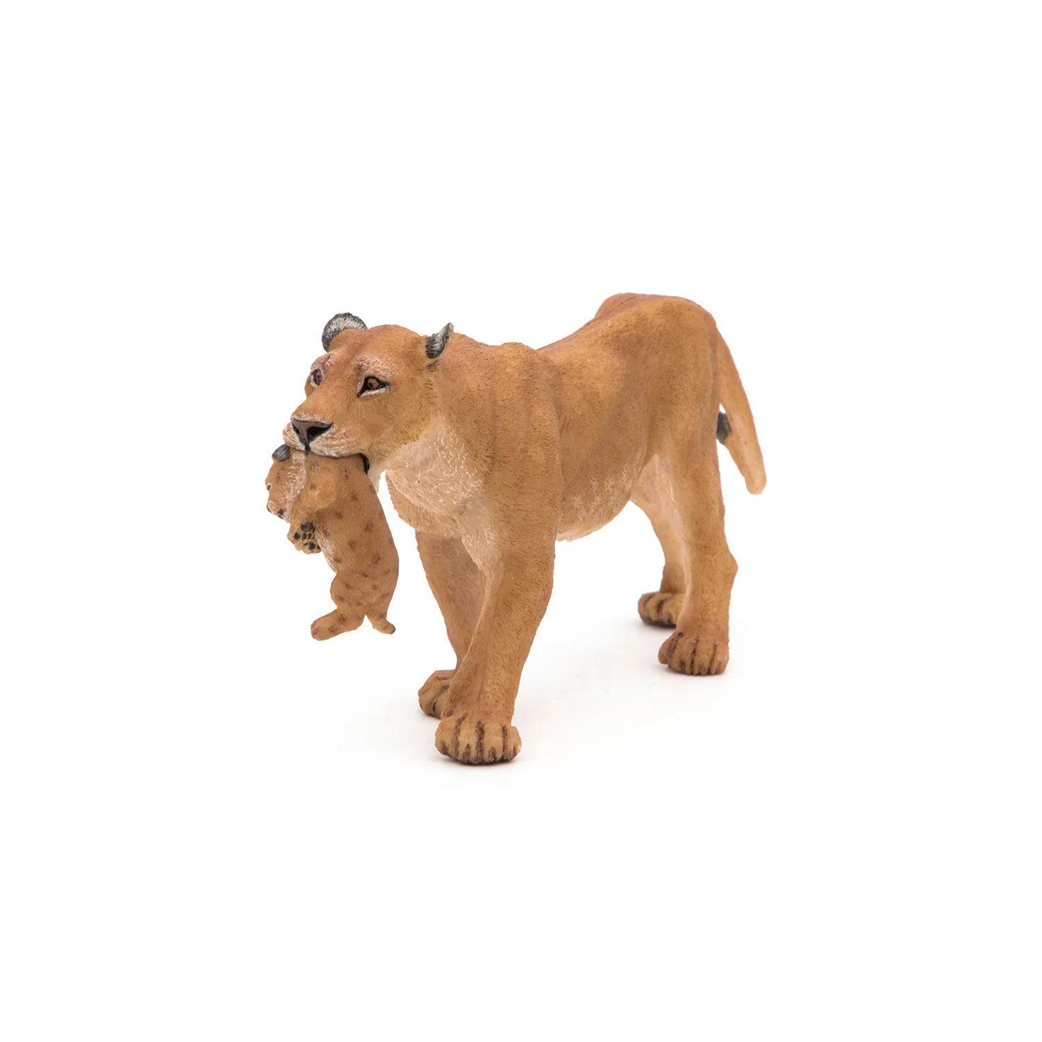 Miniature 4