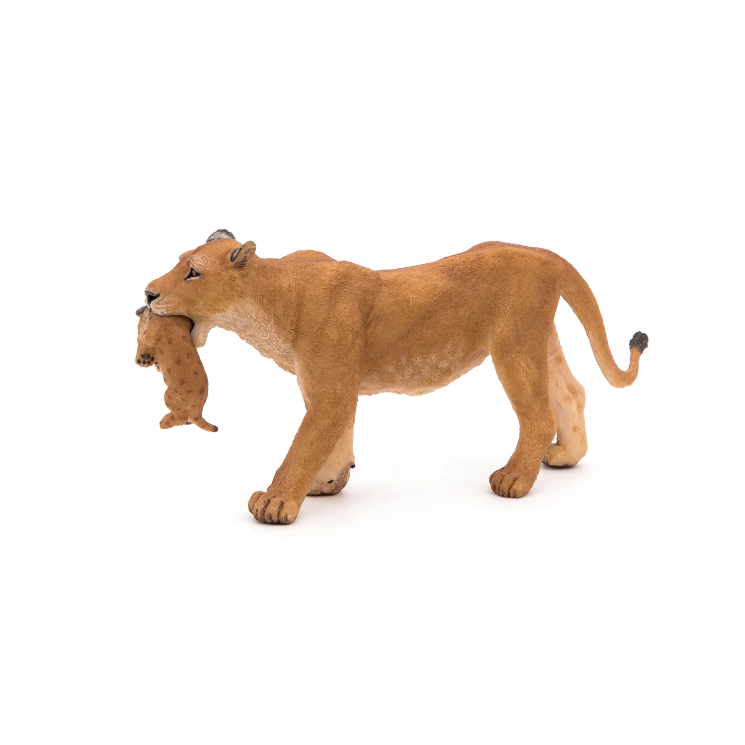 Miniature 5