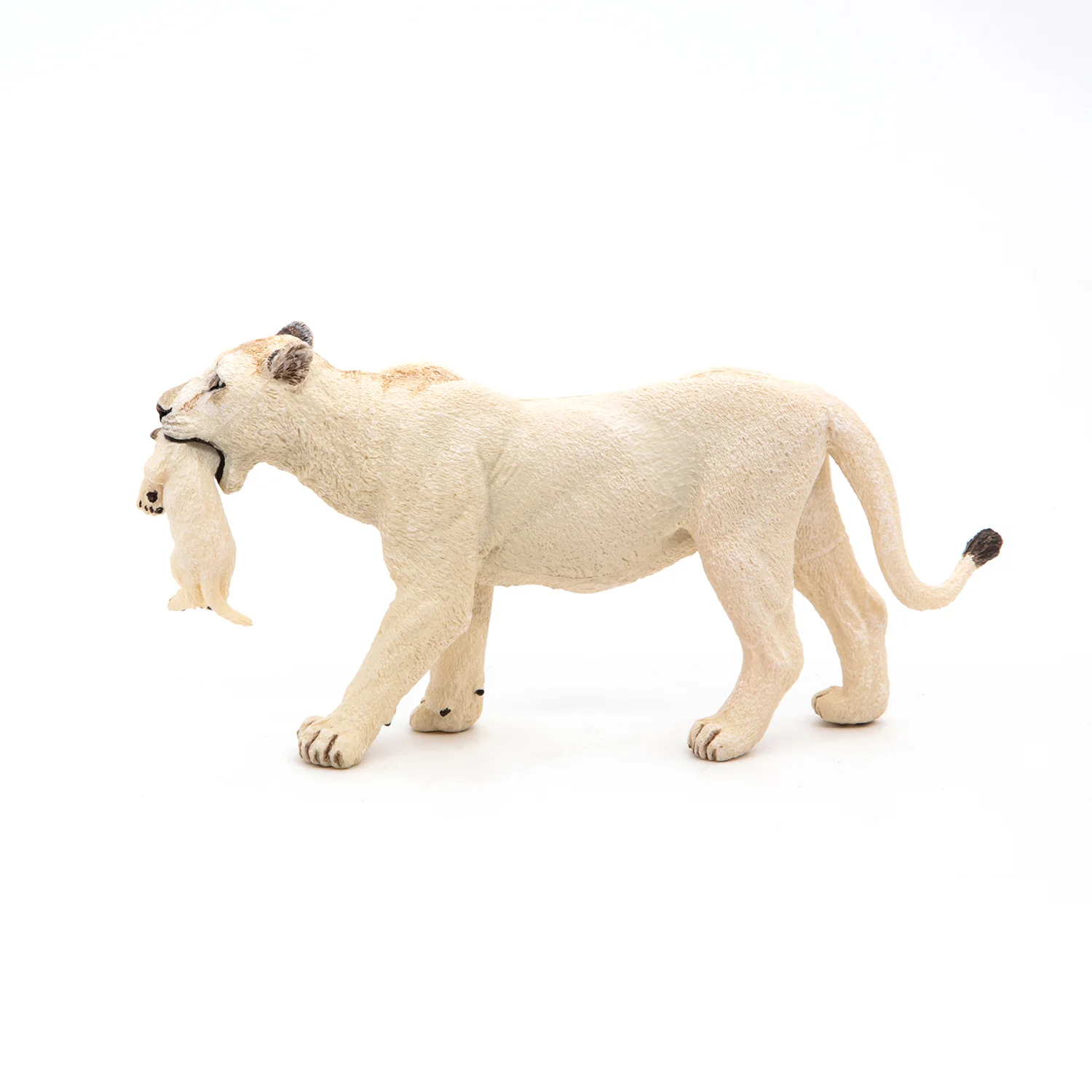Miniature 5