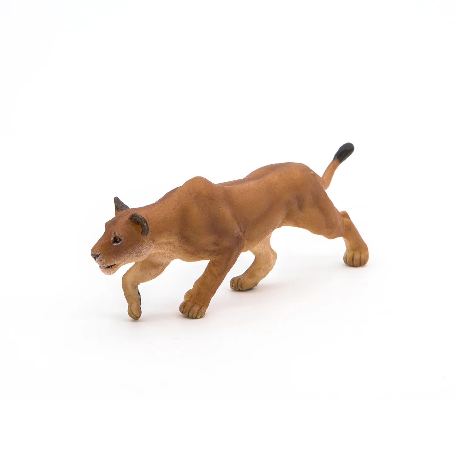 Miniature 1