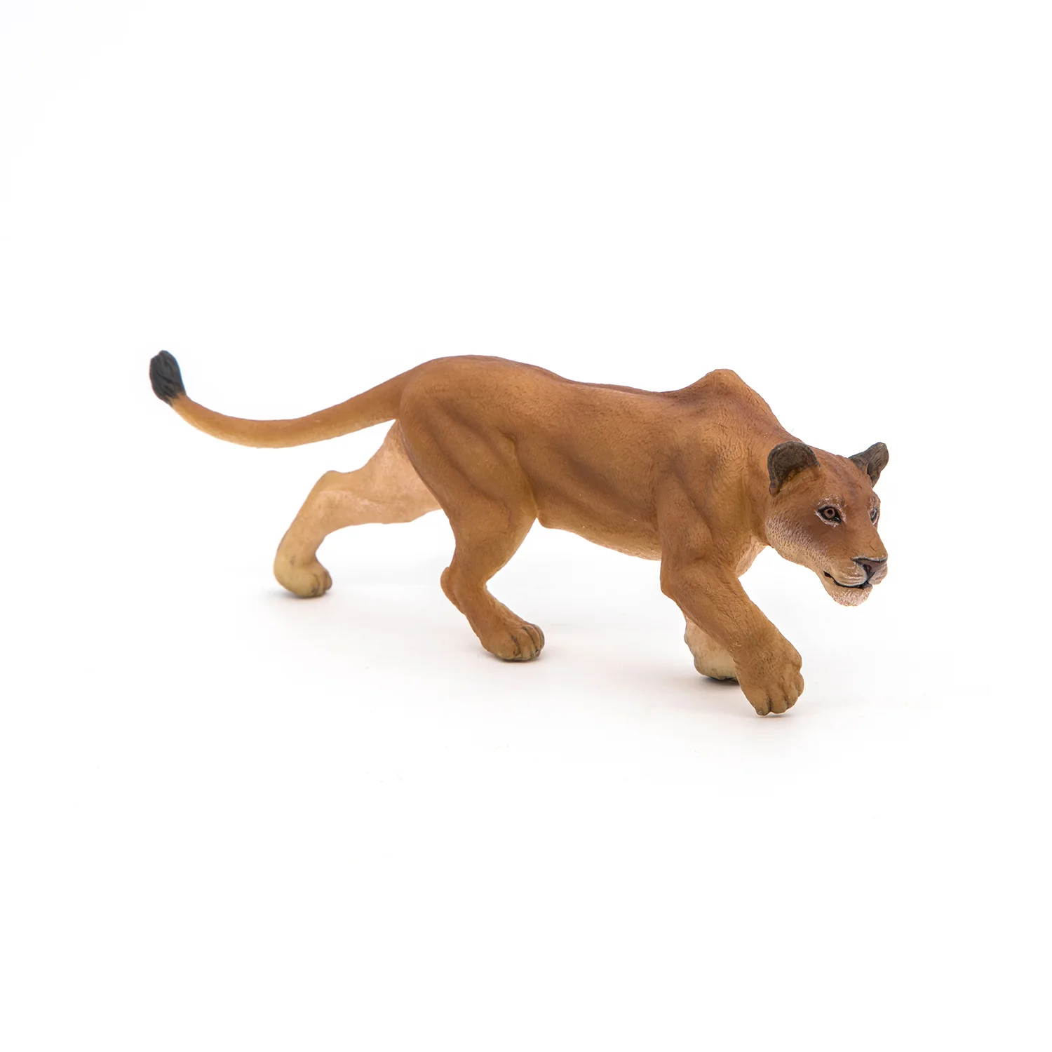 Miniature 3