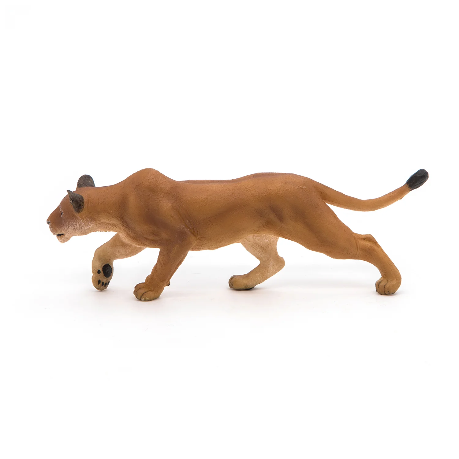 Miniature 5
