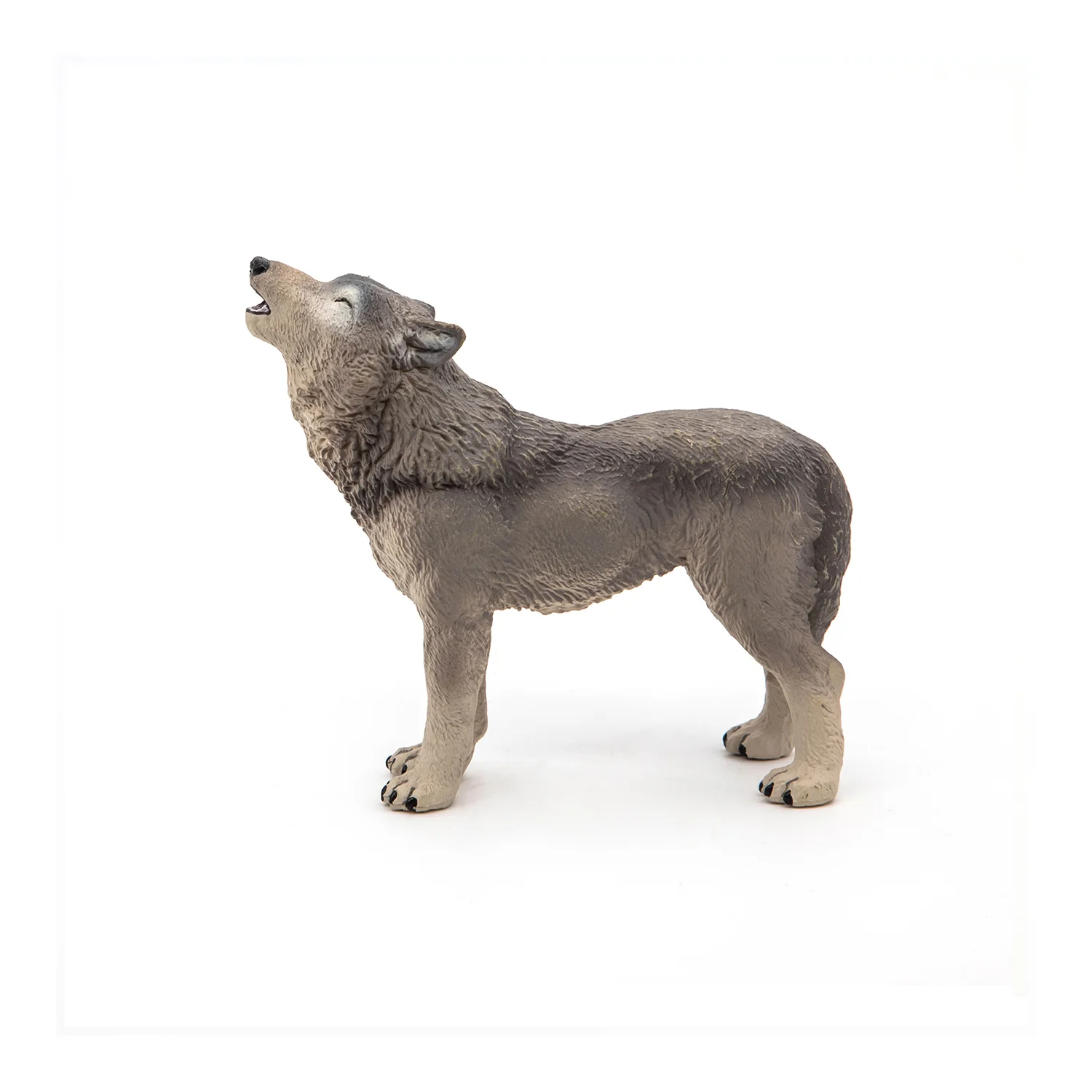 Miniature 5