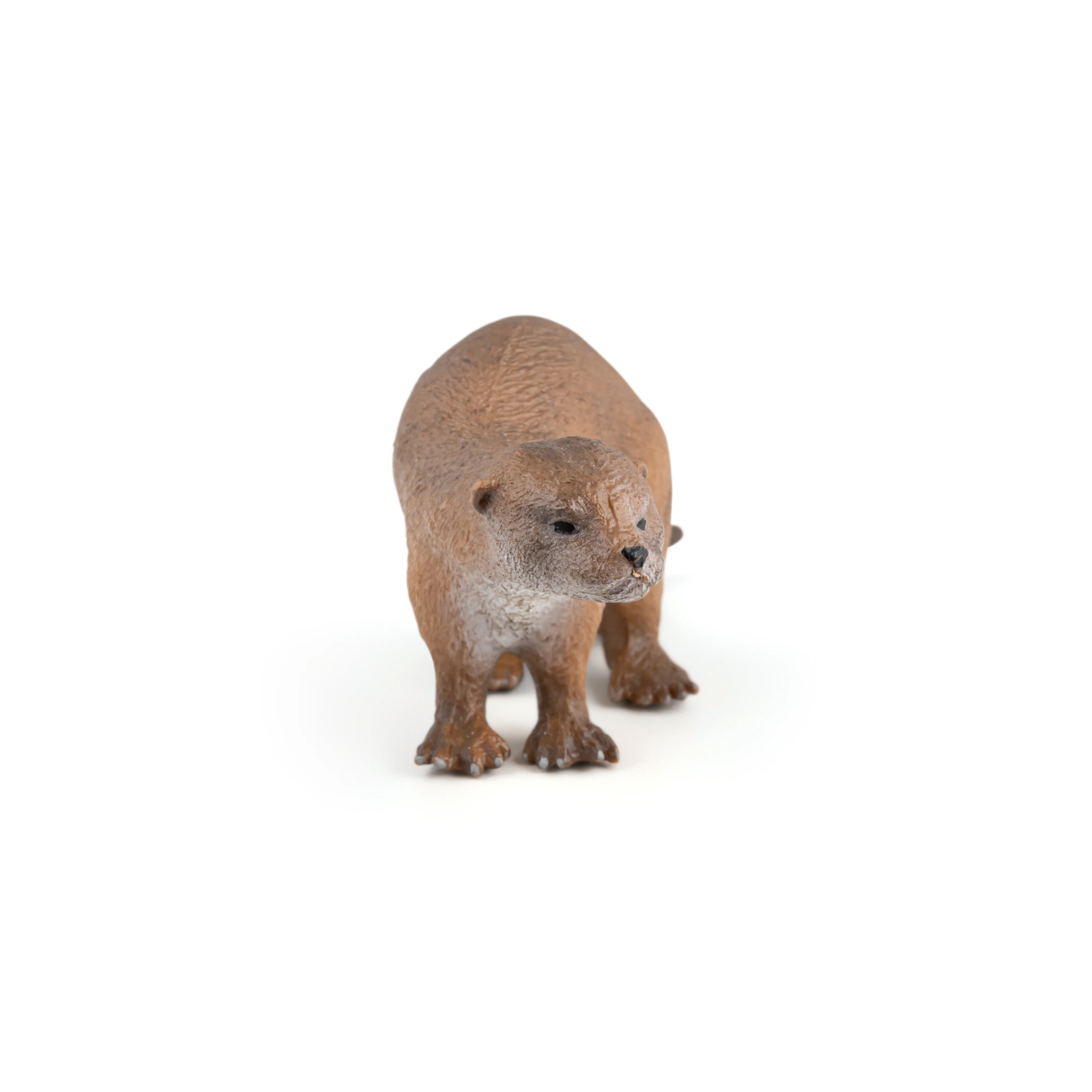 Miniature 5